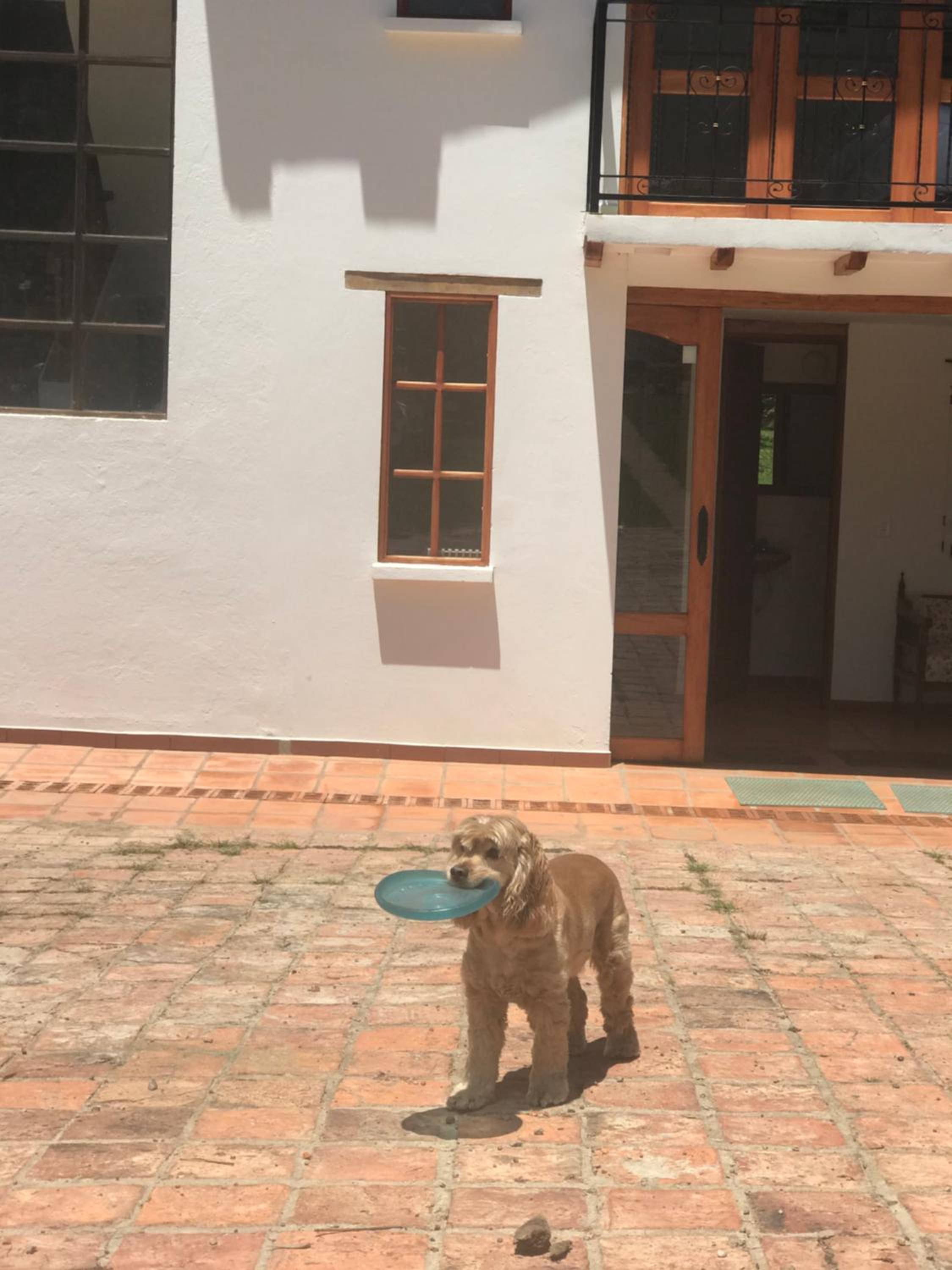 Casa Hotel Villa Bonita