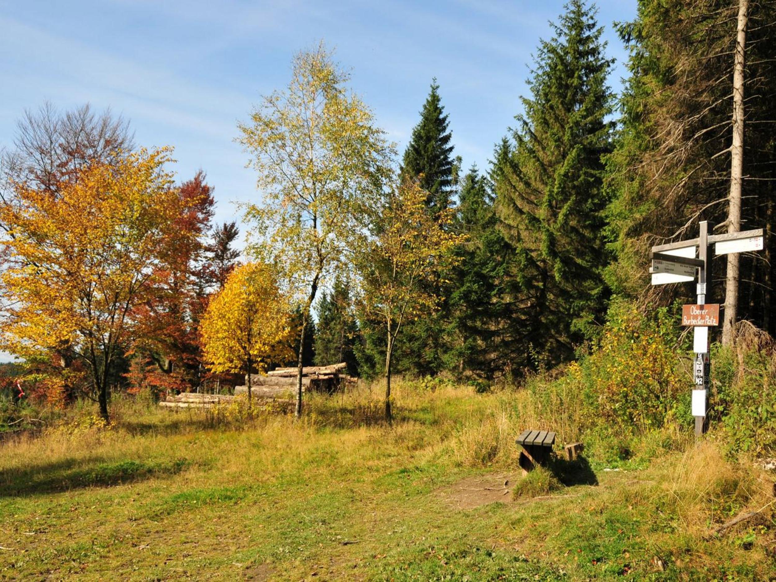 Photo 40