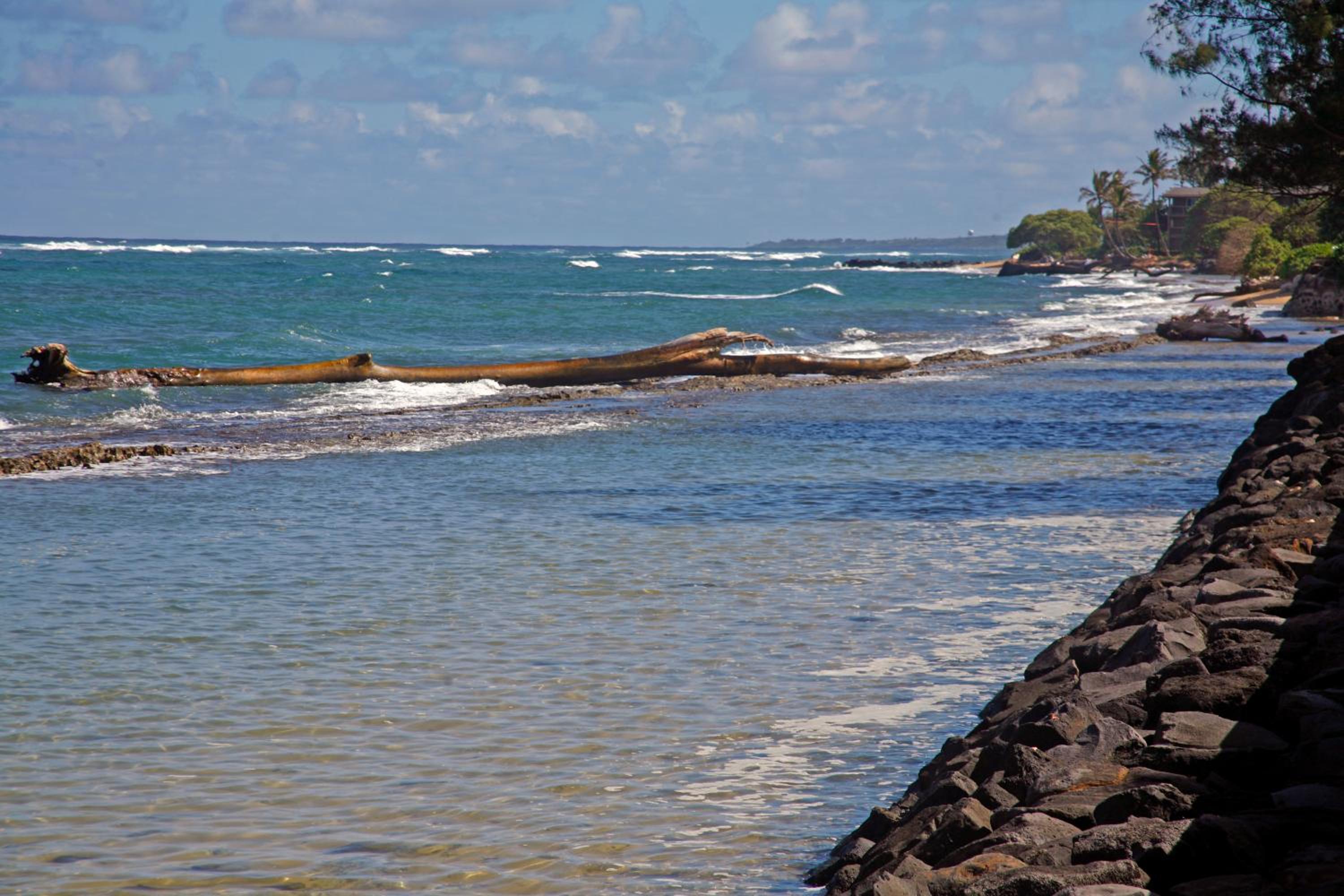 OceanFront Kauai - Rhythm TVNC 4288 view 5