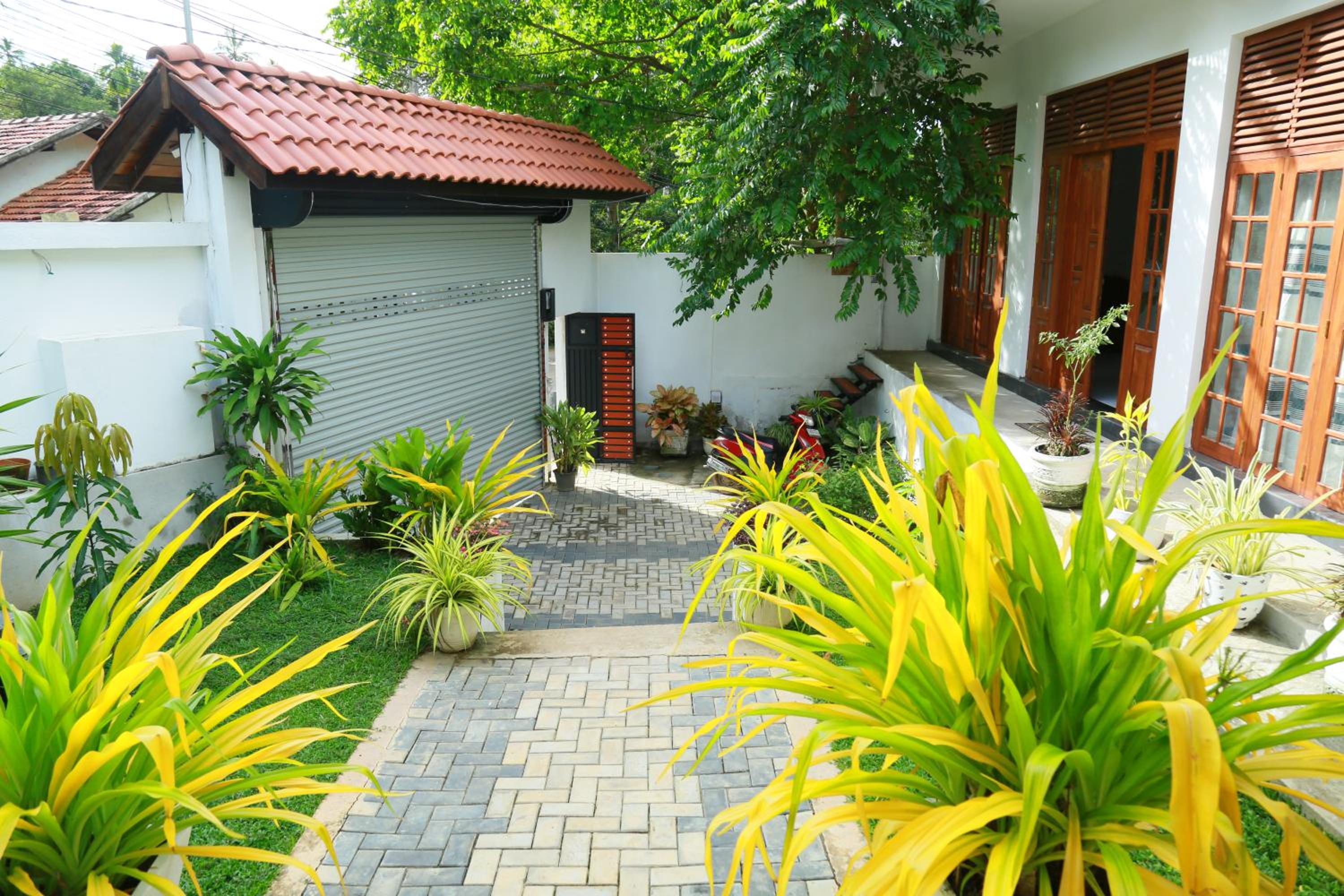 Photo 7