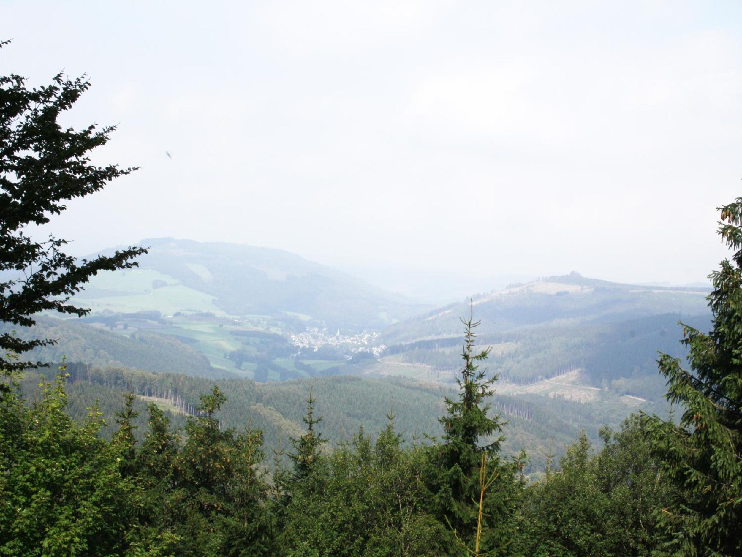 Photo 47