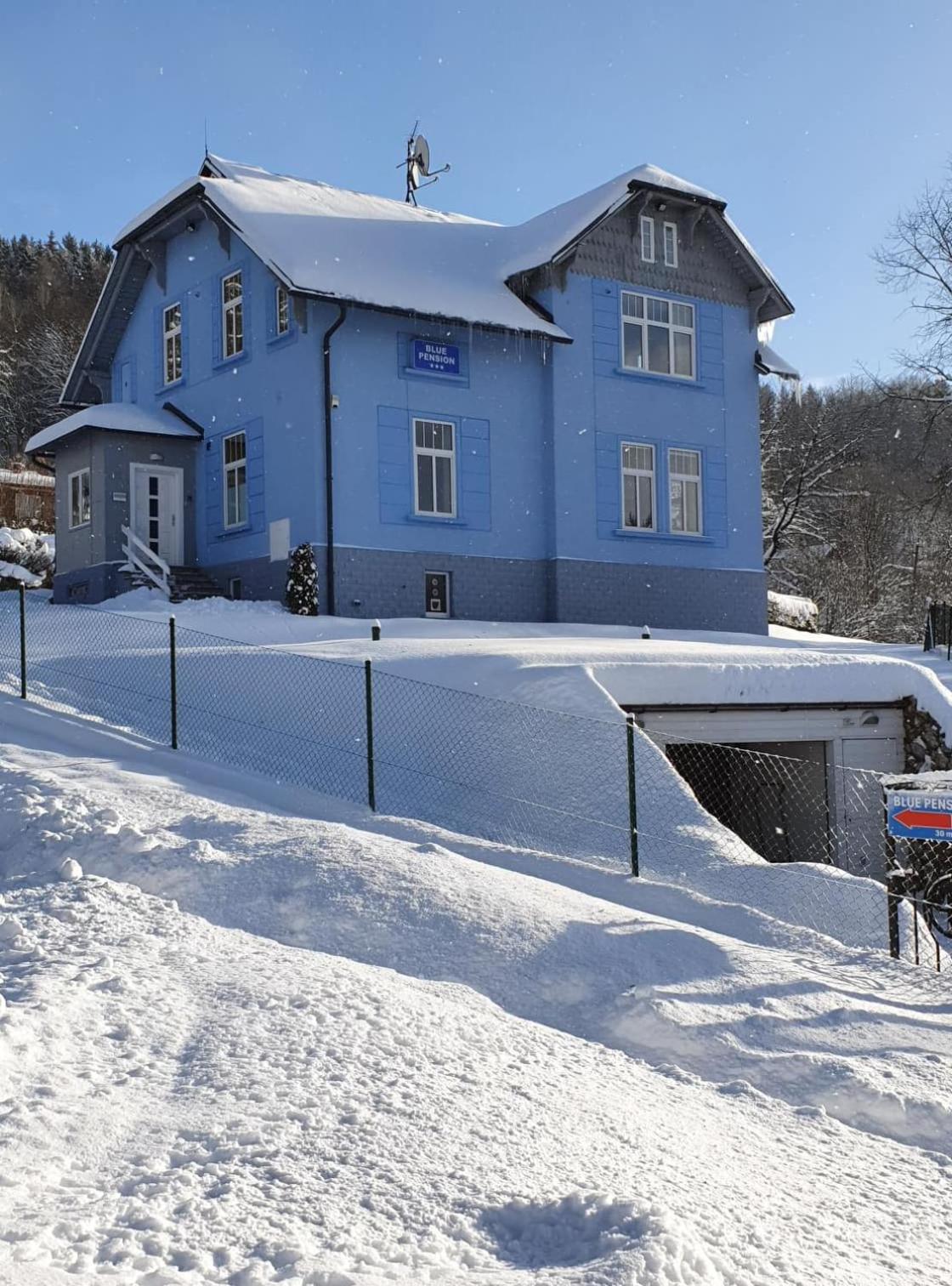 BLUE PENSiON view 3