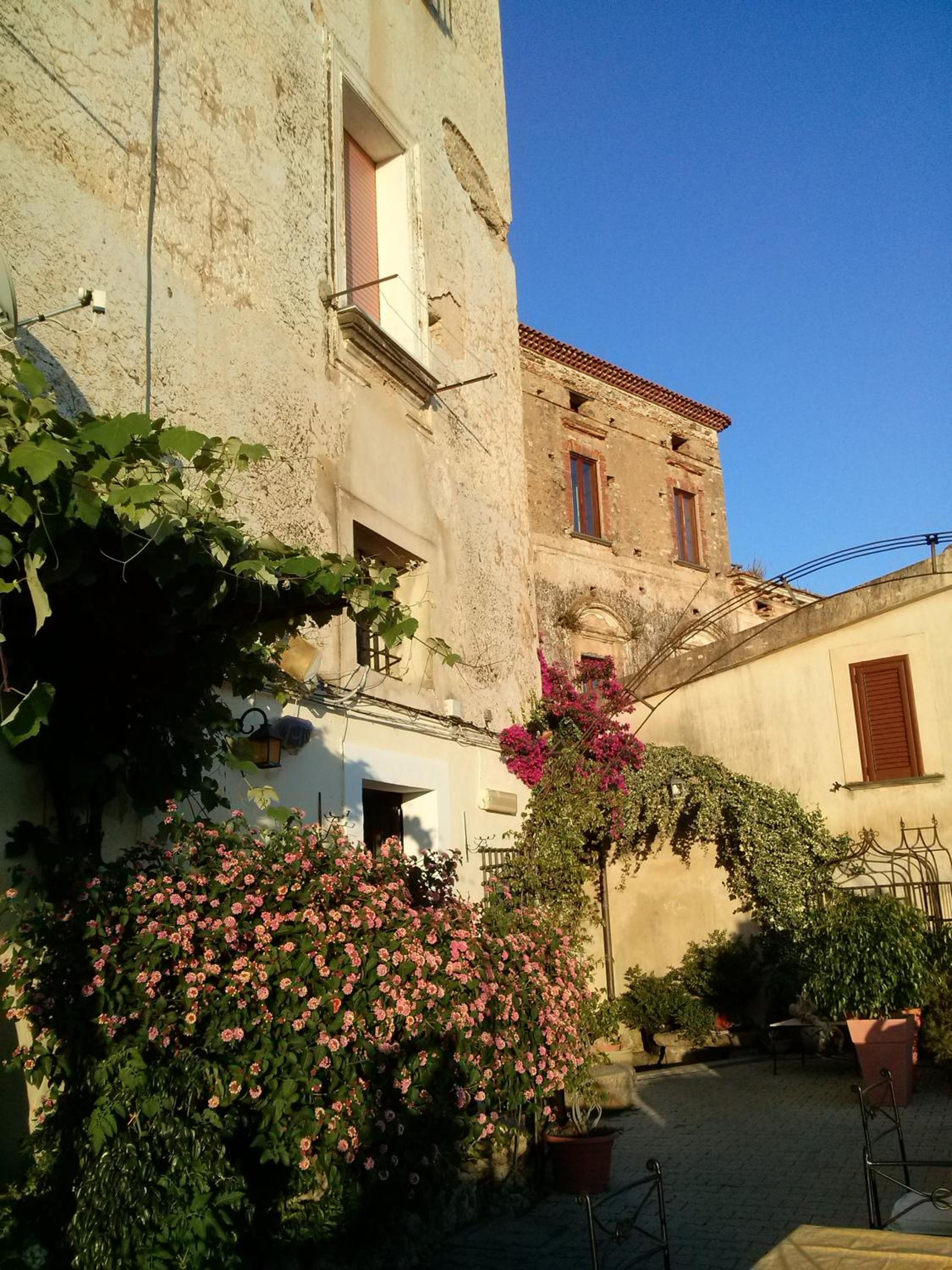 Photo 36
