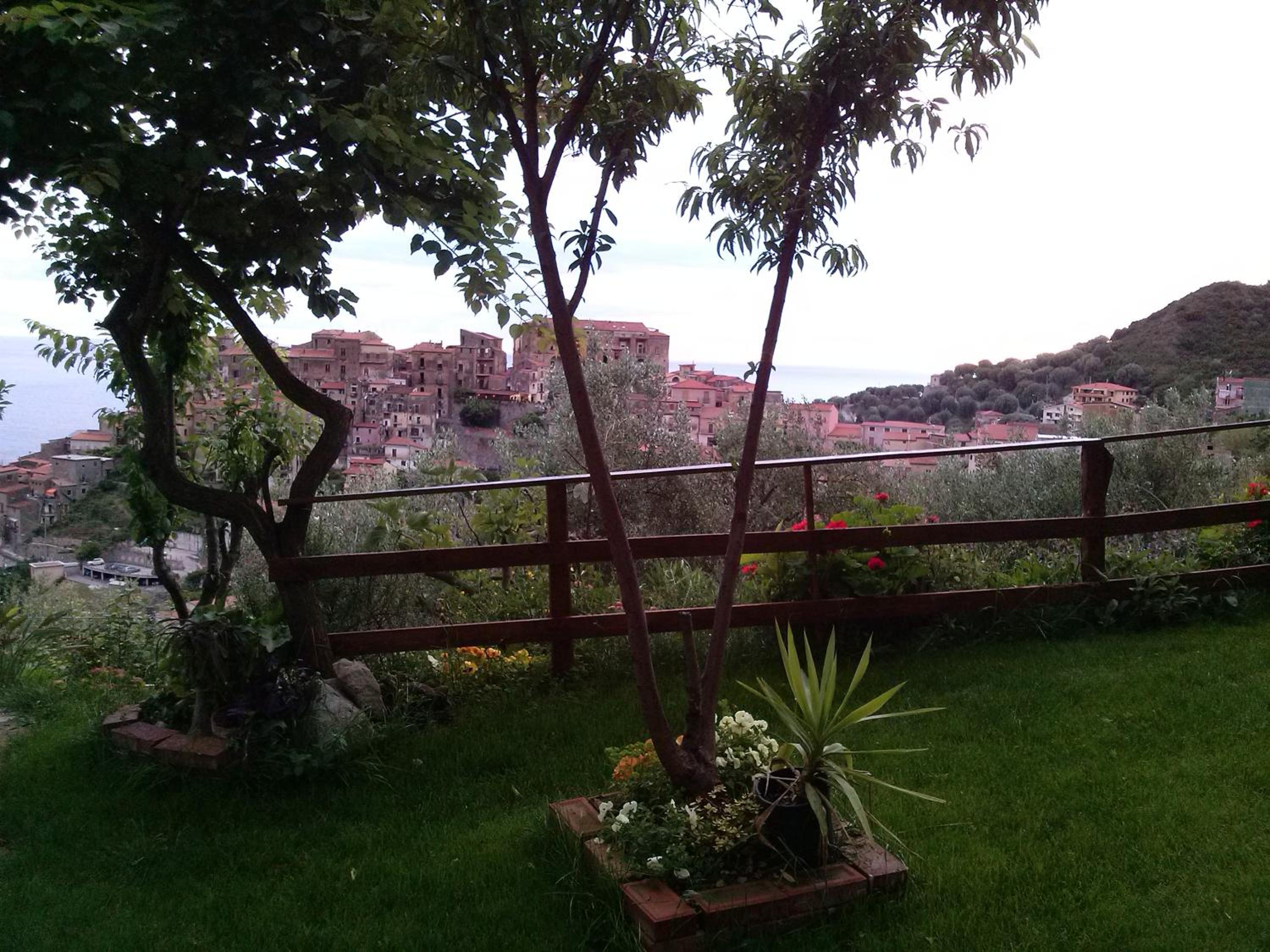 Photo 49