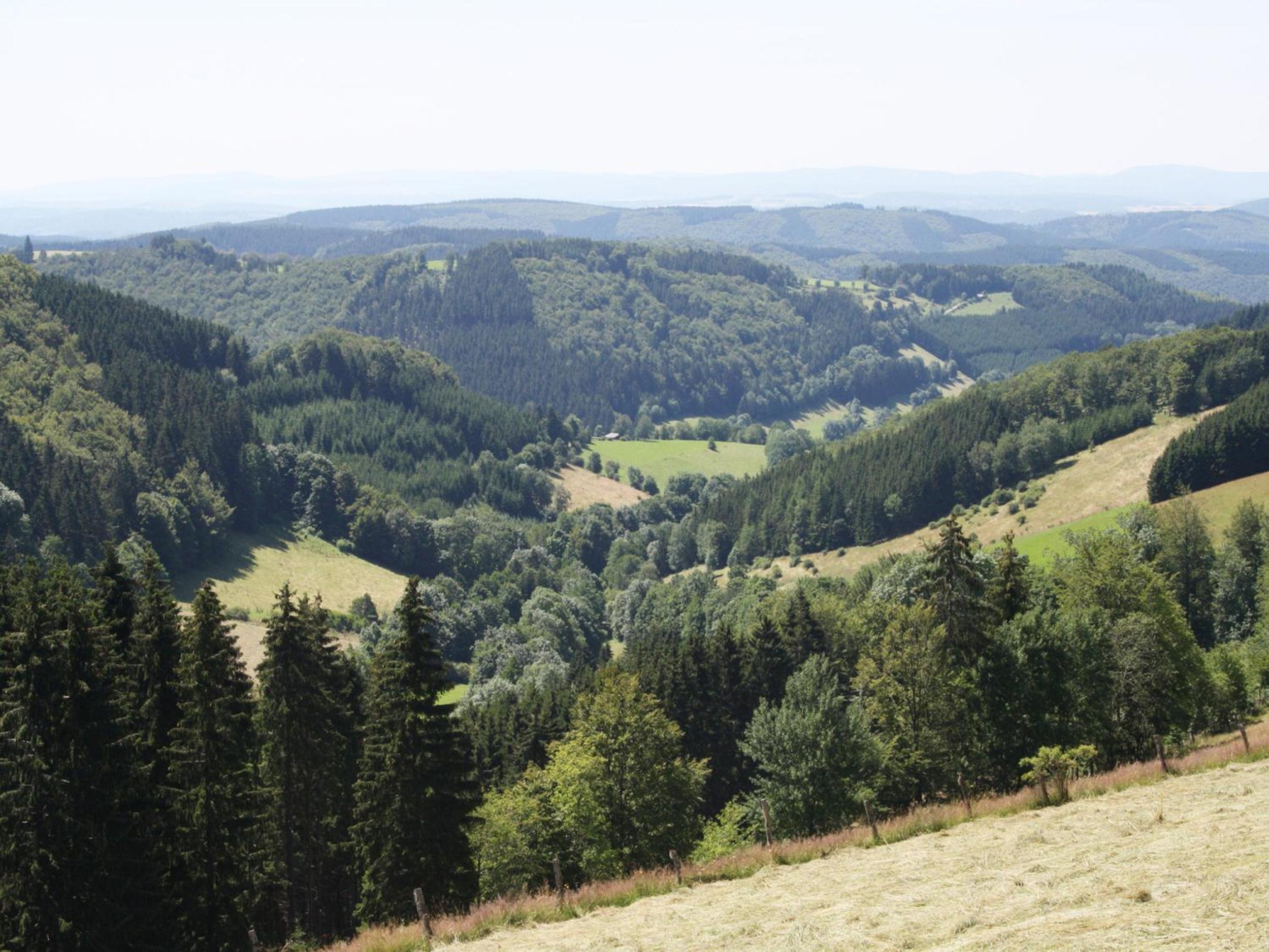 Photo 42