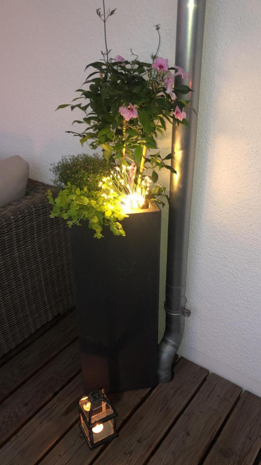 Photo 36