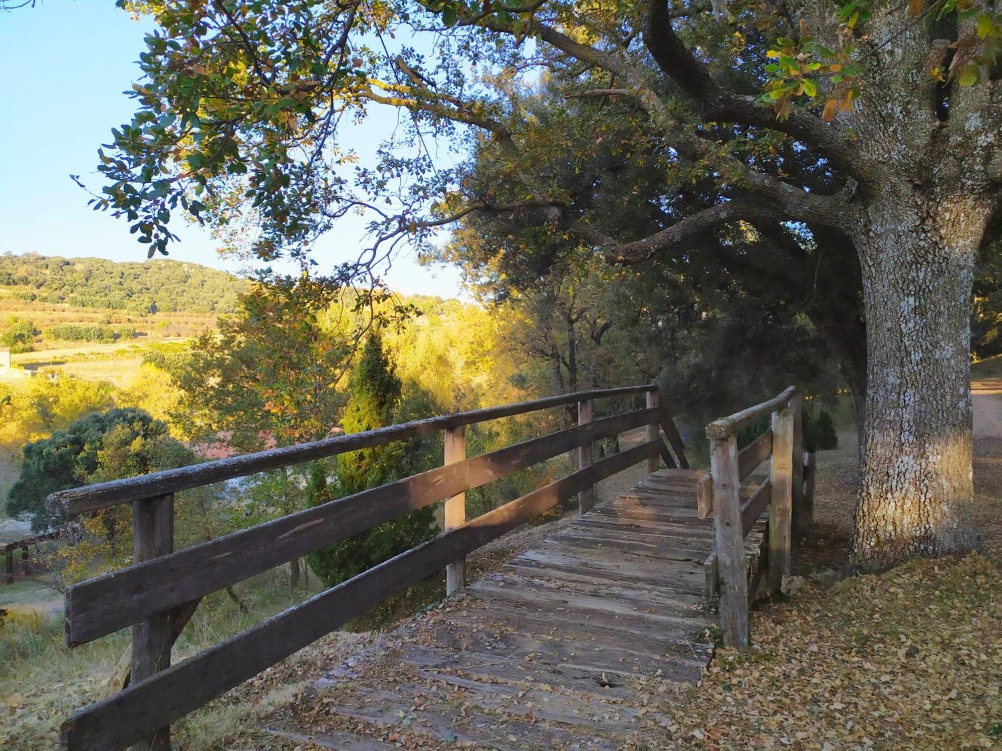 XALET de MUNTANYA