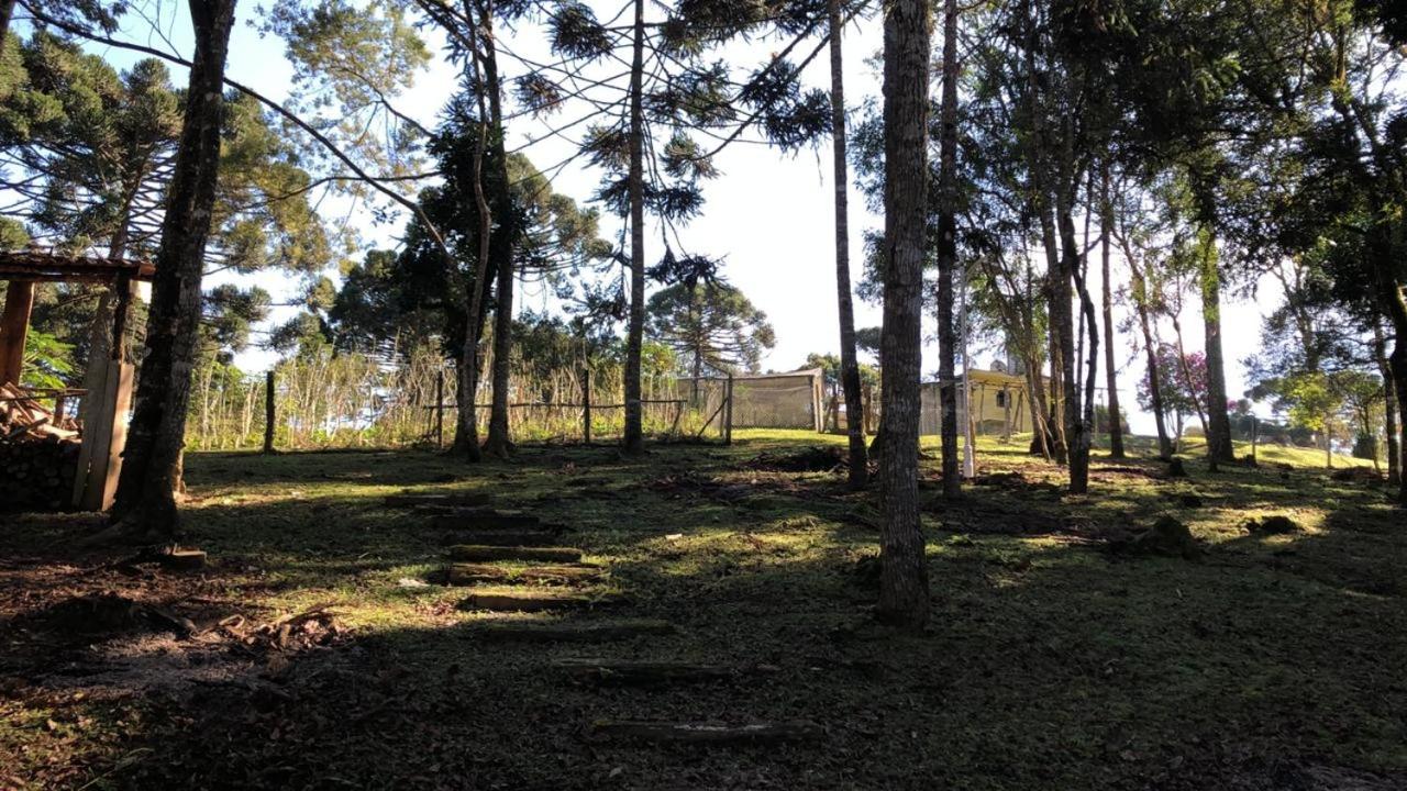 Chacara maravilhosa pertinho de Curitiba