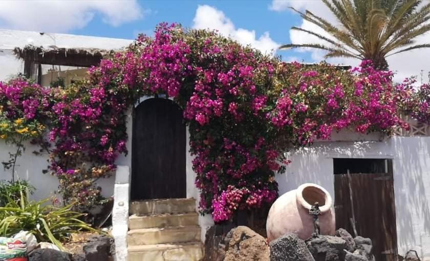 Casa De Gato Rustic Finca view 4