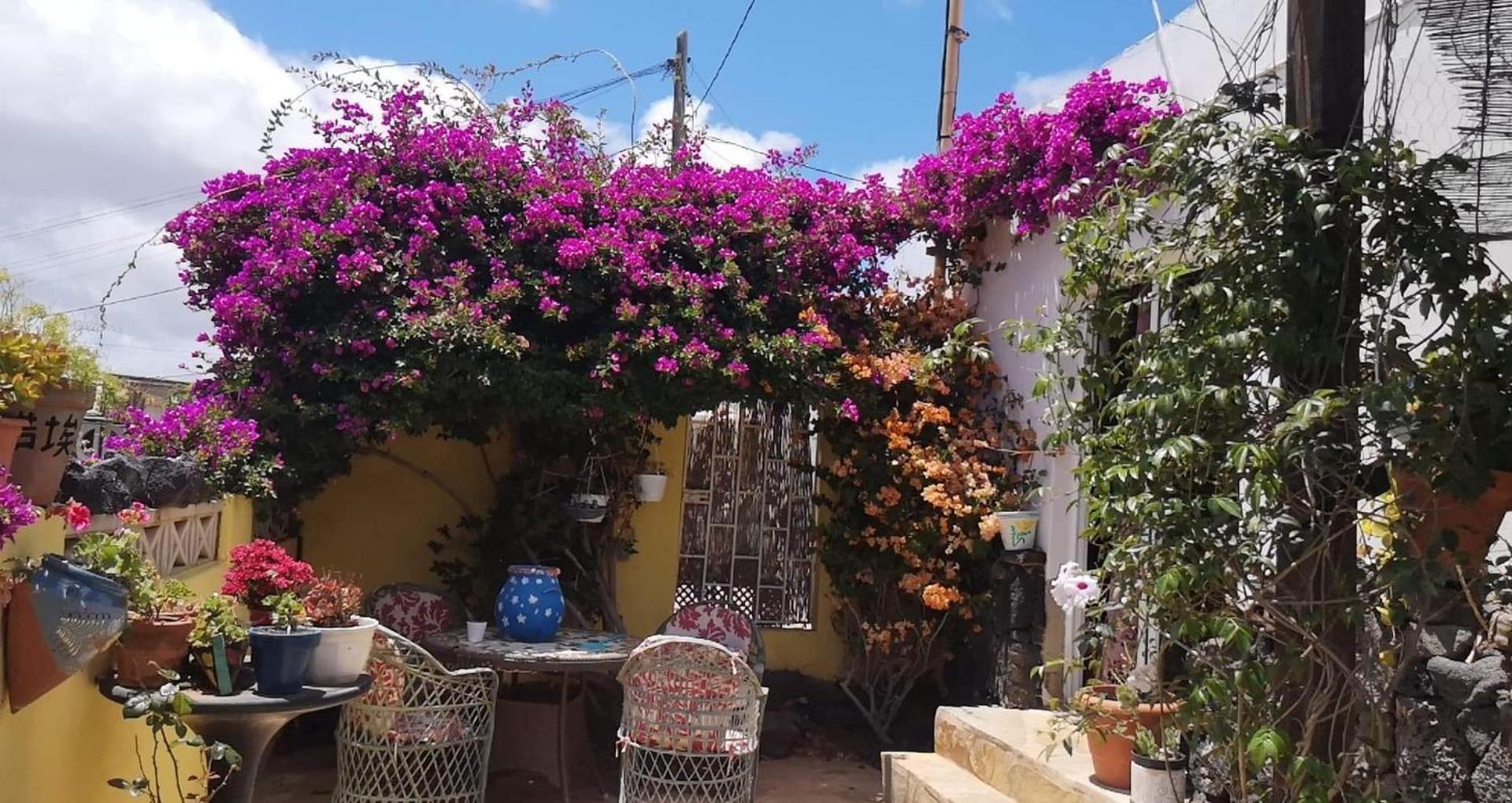 Casa De Gato Rustic Finca view 2