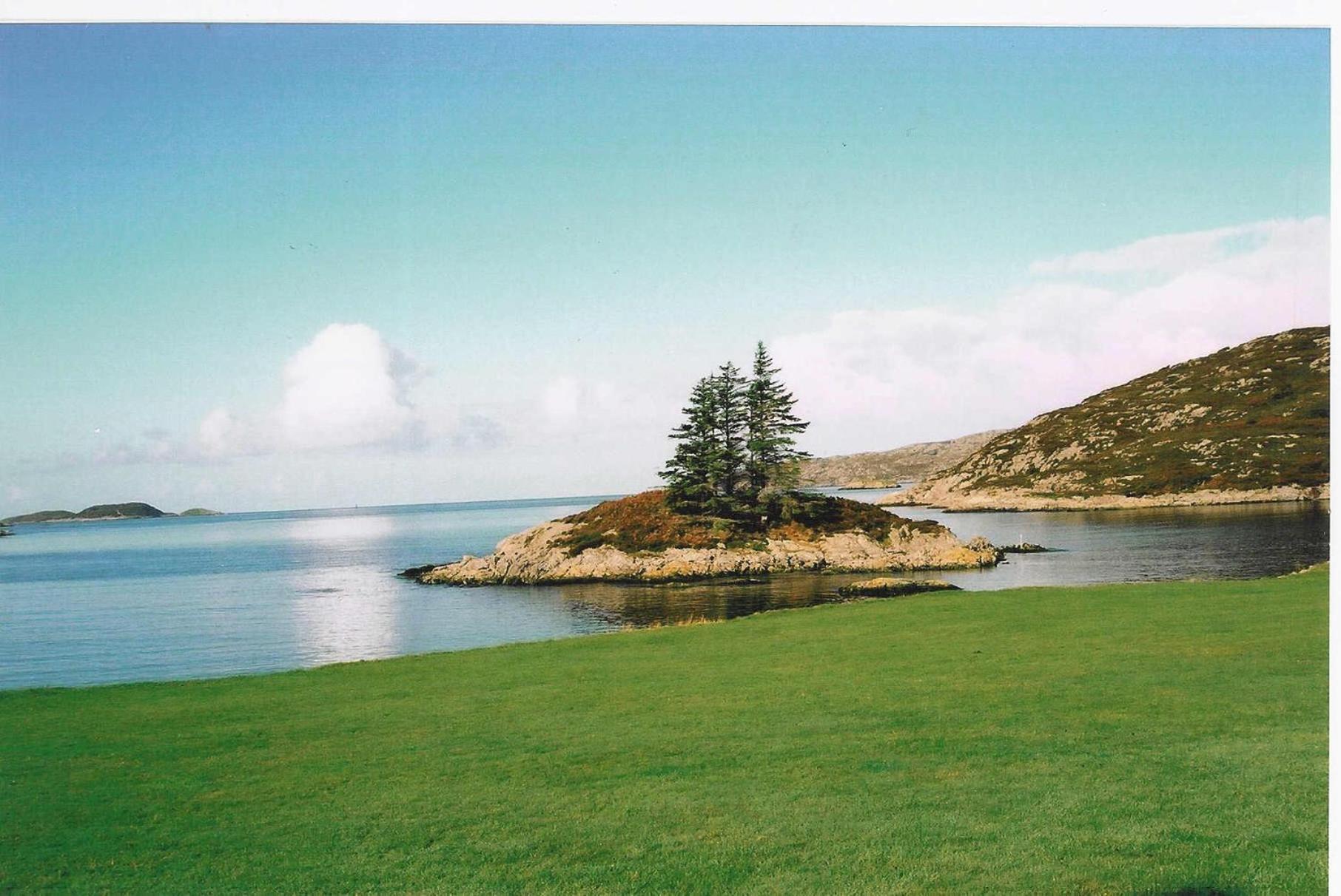 Photo 11