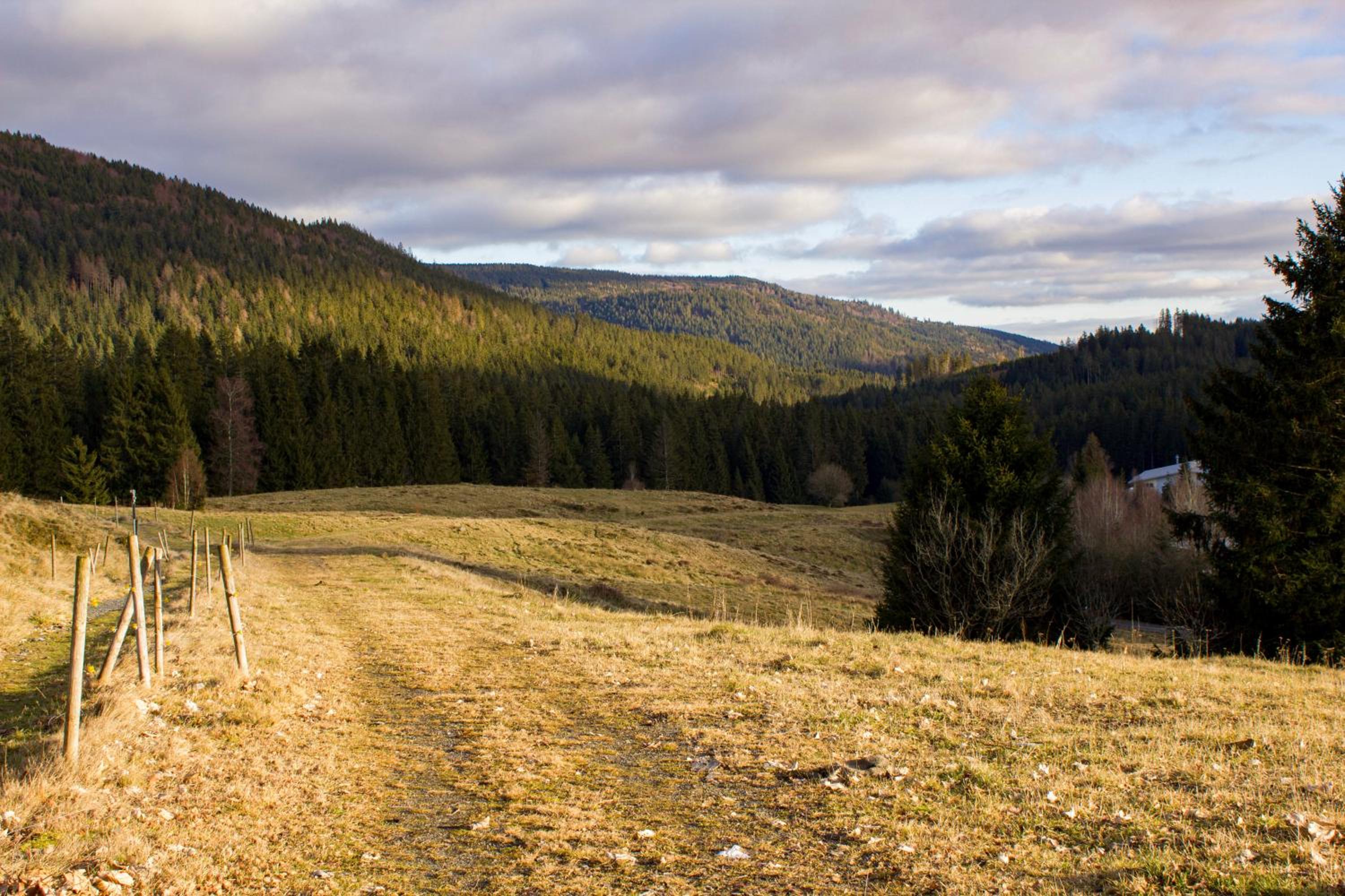 Gemütliche Ferienwohnung - Mitten im Schwarzwald