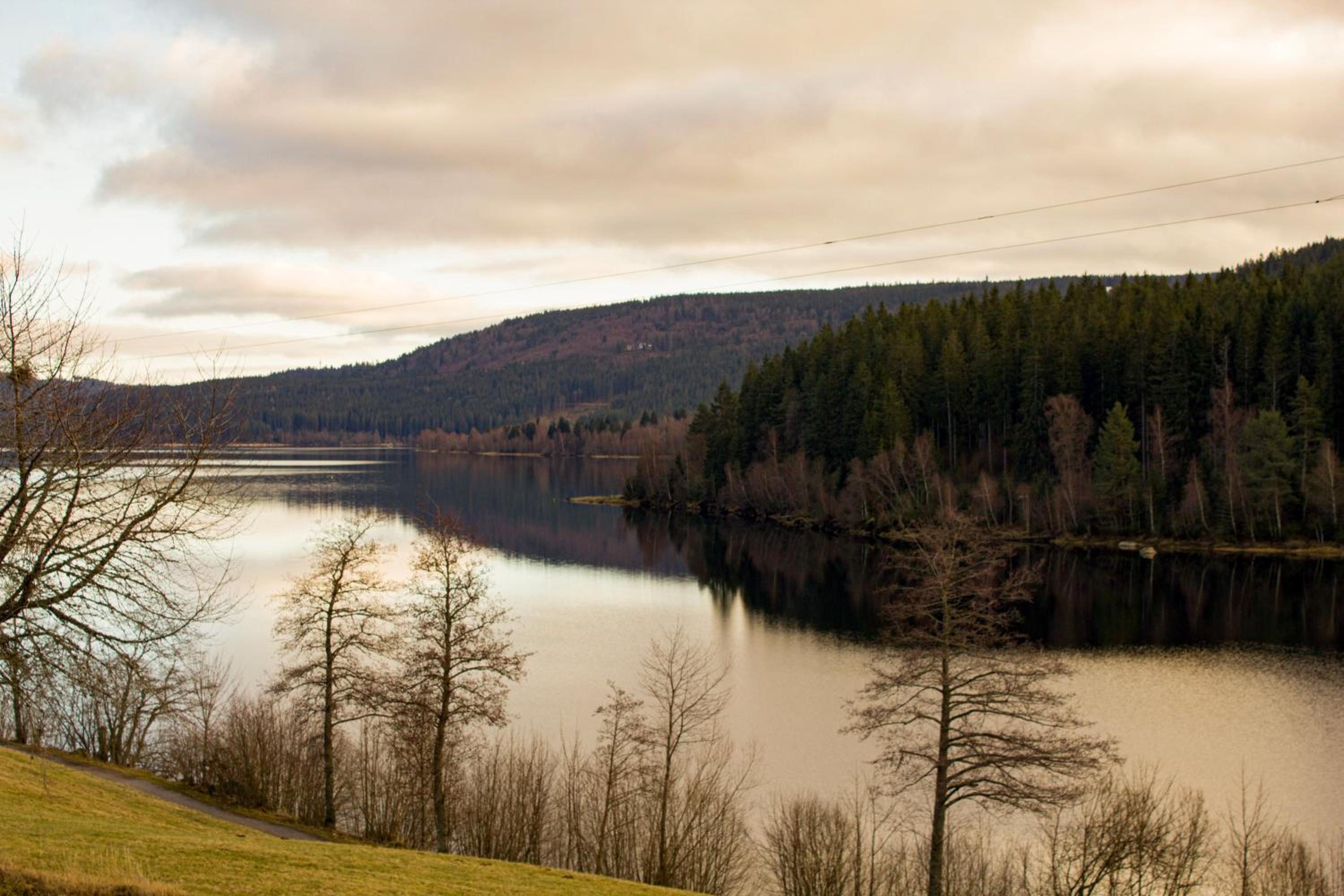Gemütliche Ferienwohnung - Mitten im Schwarzwald