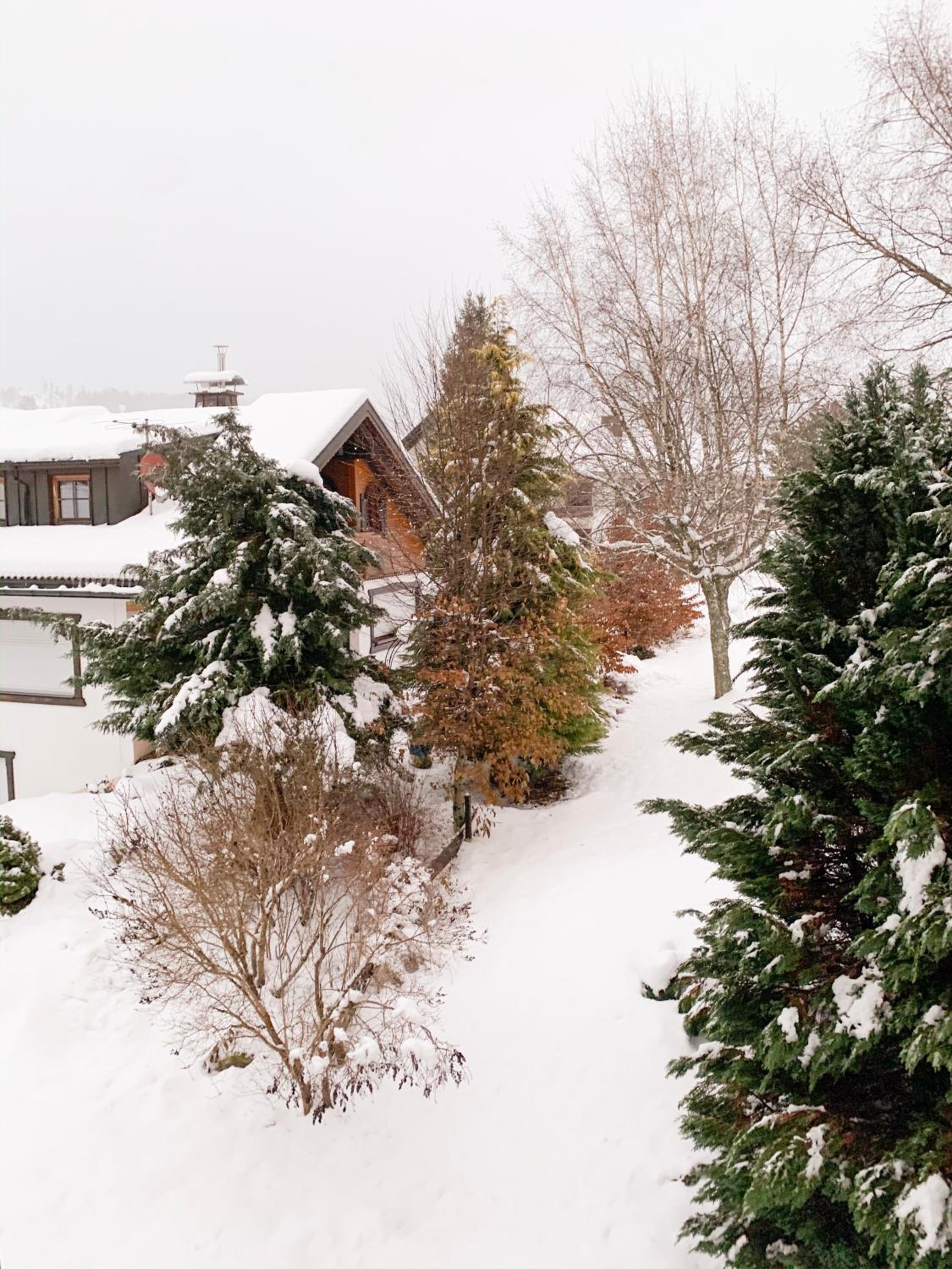 Gemütliche Ferienwohnung - Mitten im Schwarzwald