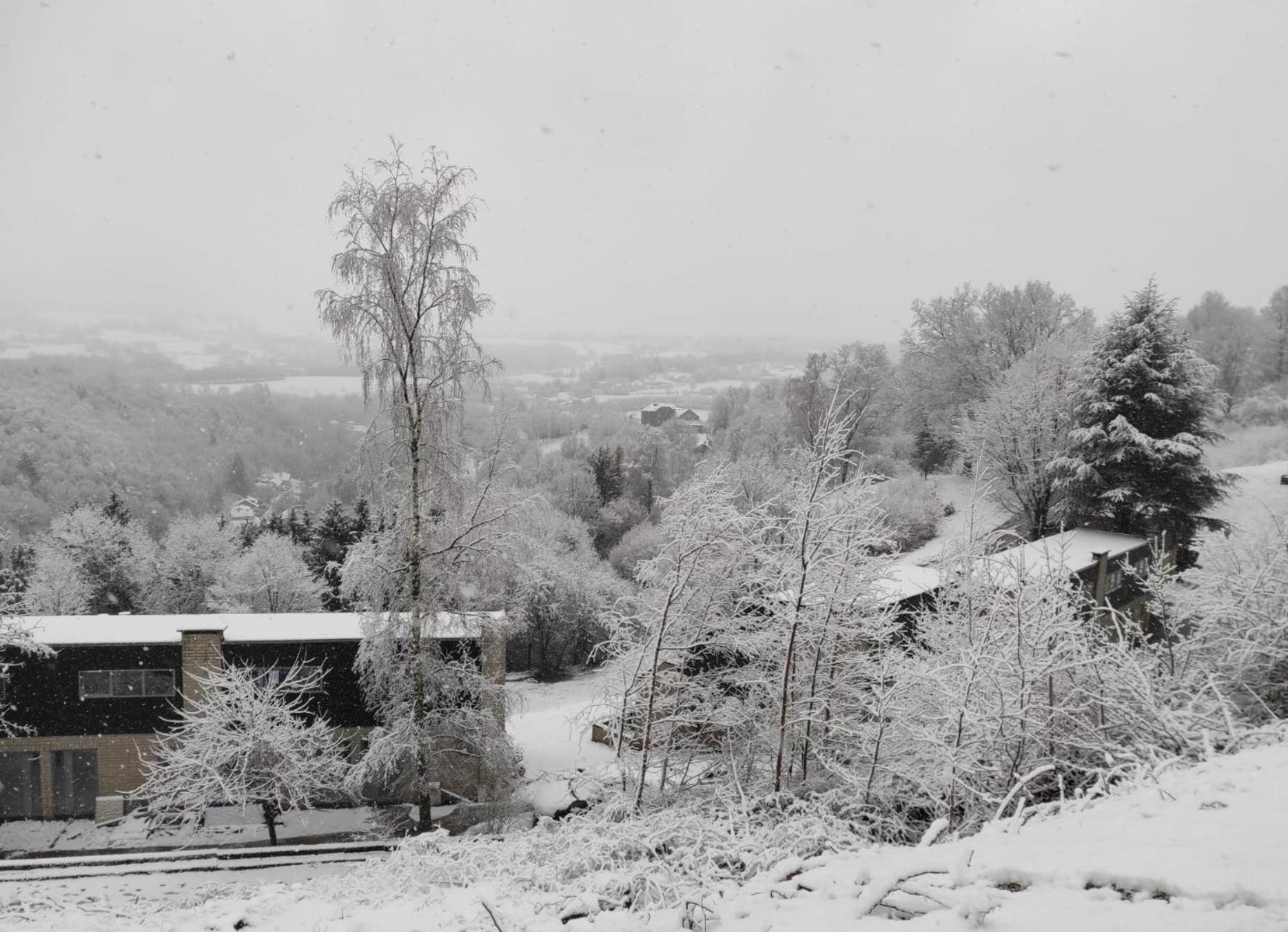 Les terrasses de Malmedy Studio 333 Yellow Grey