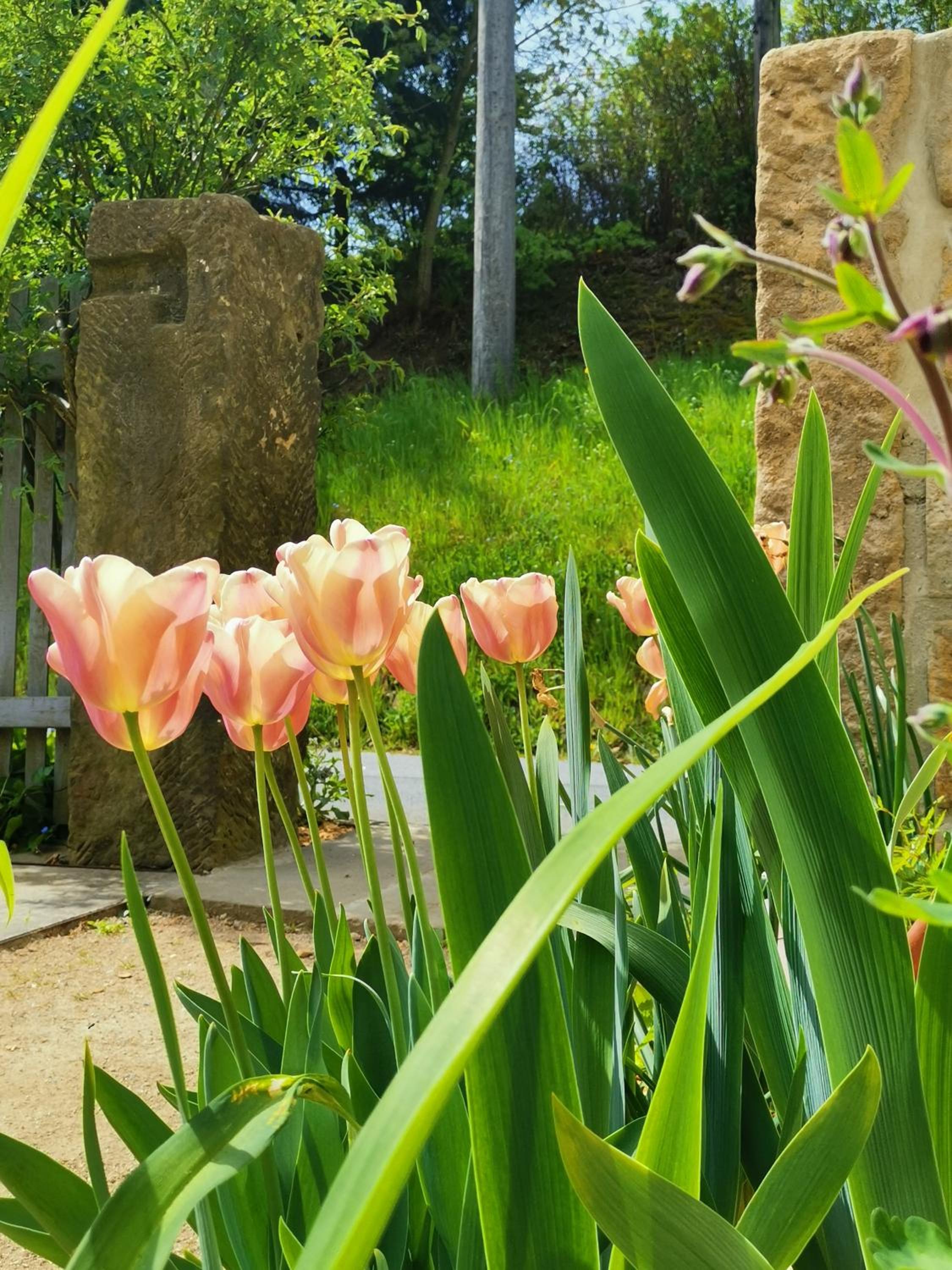 Urlaub im 200 Jahre alten Fachwerkhaus