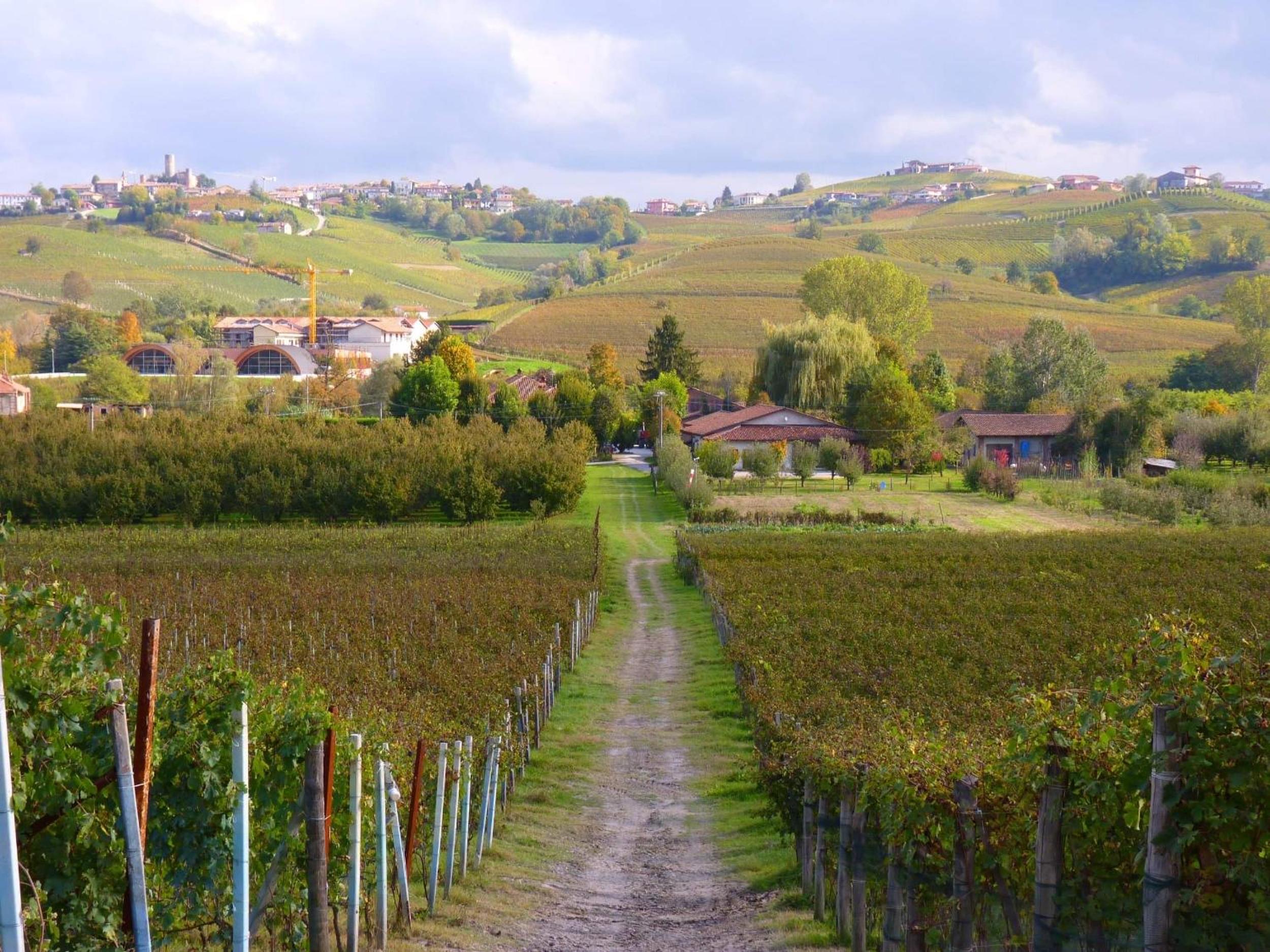Agriturismo Viticcio