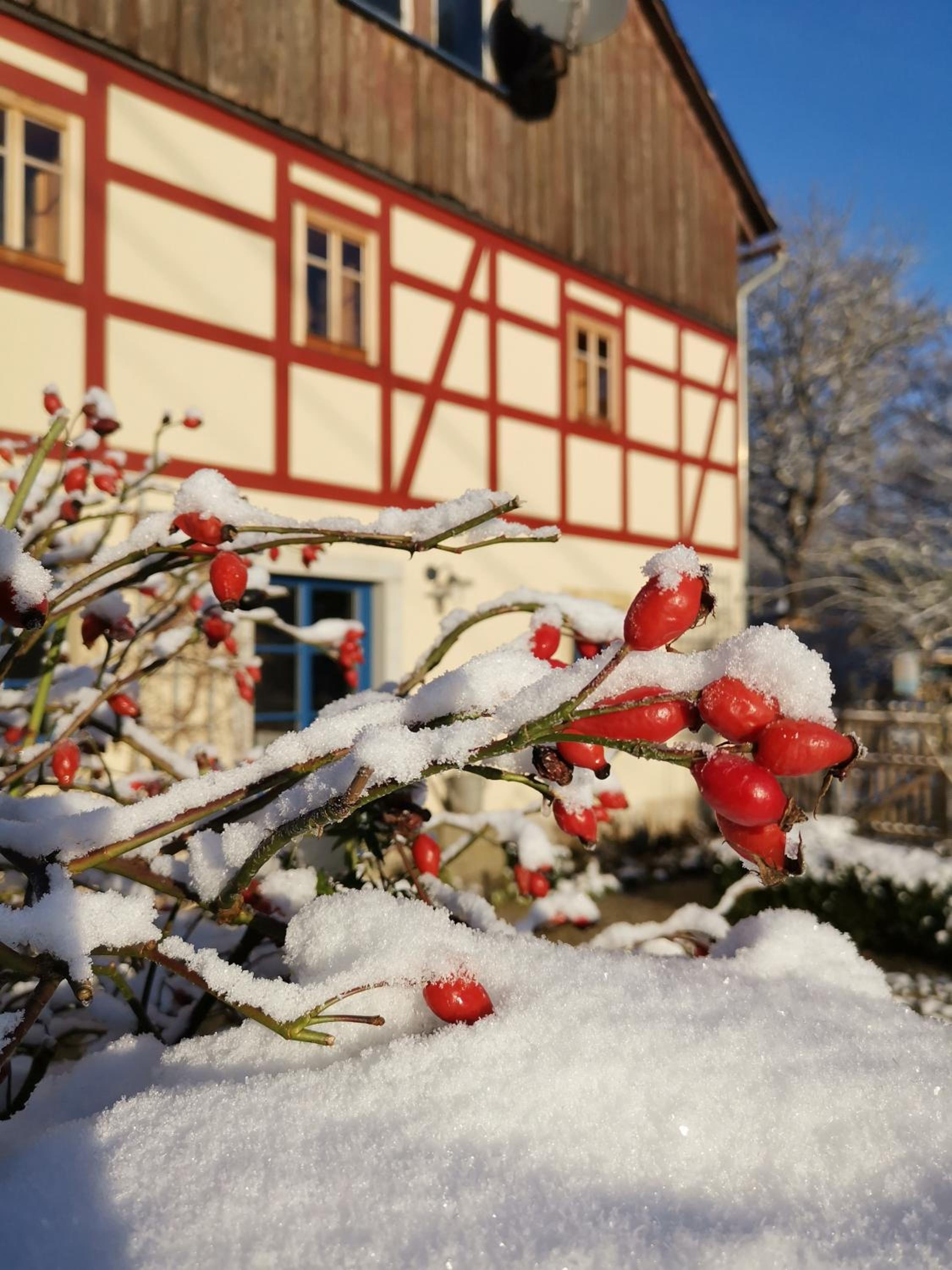 Urlaub im 200 Jahre alten Fachwerkhaus