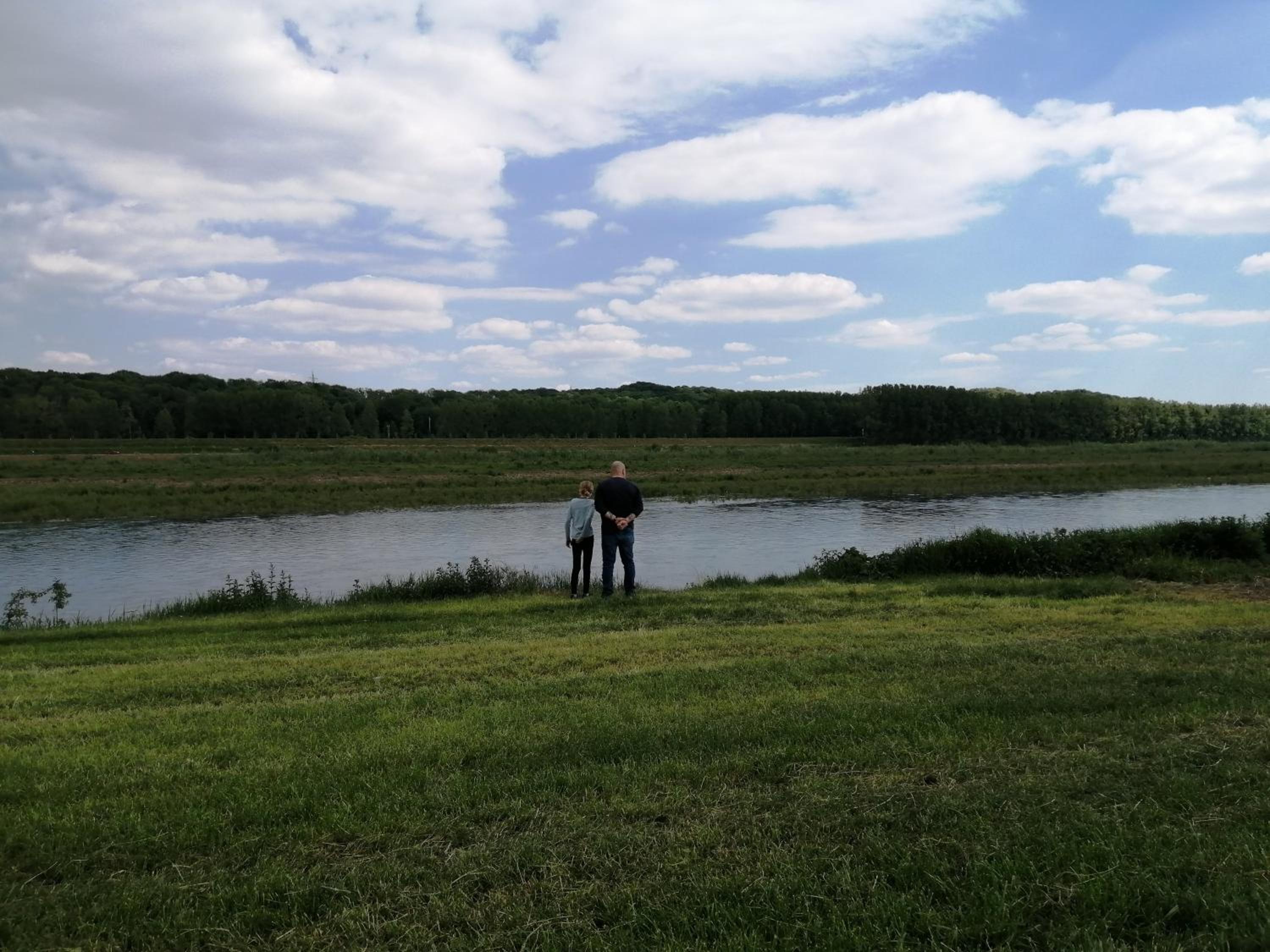 De achtertuin