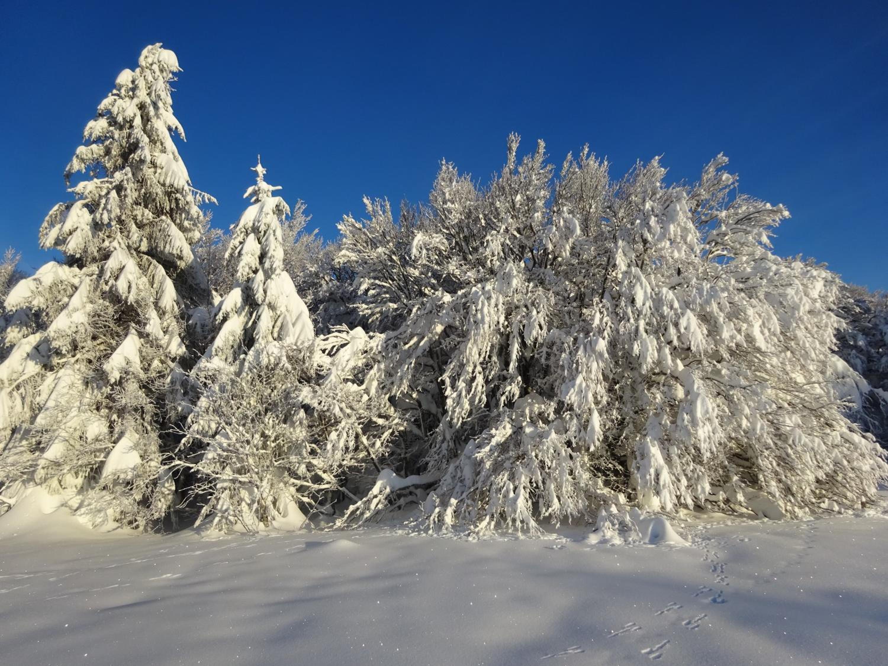 Chalet la Petite Perle, photo 37