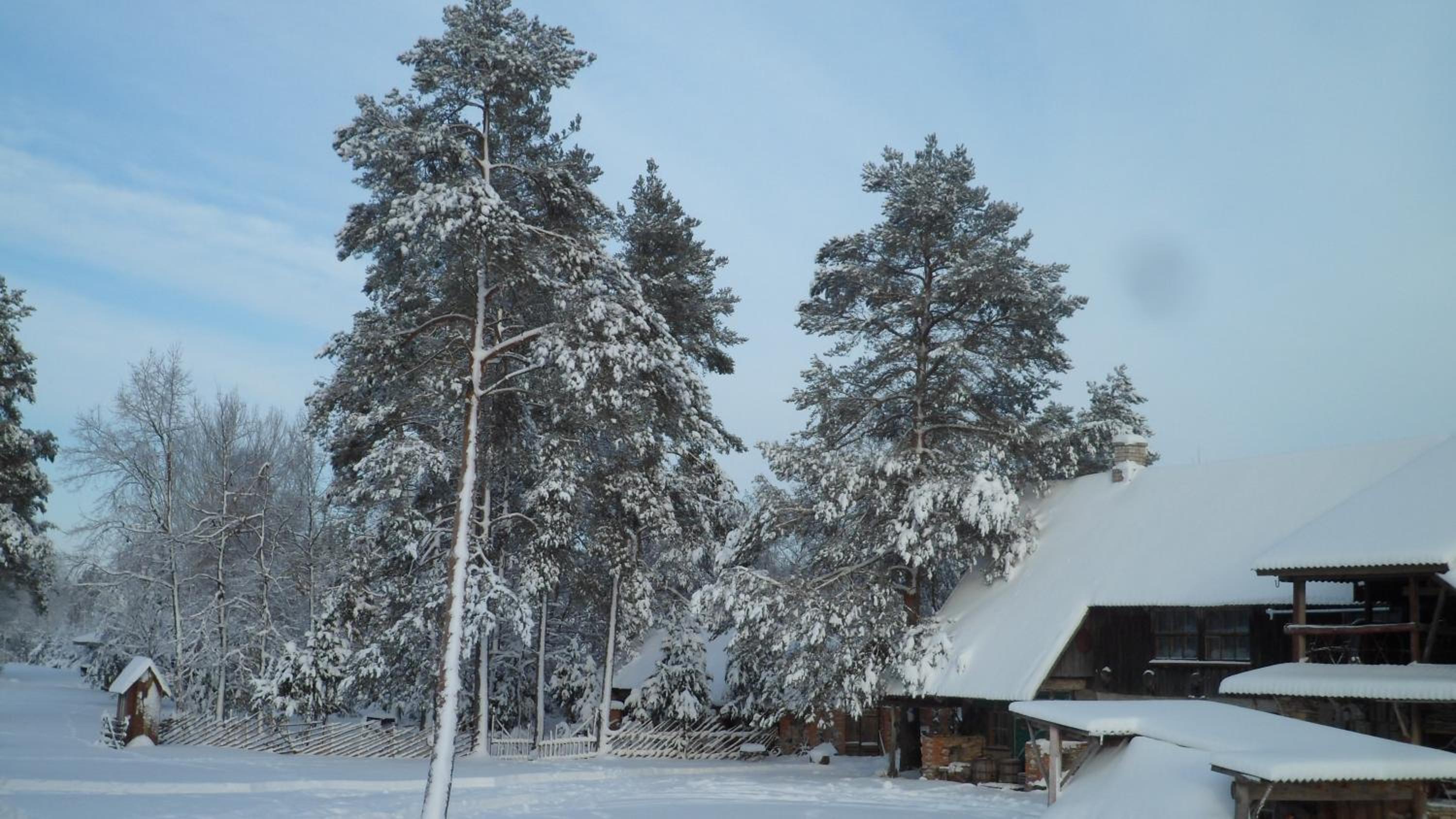 Viruna Farm view 2