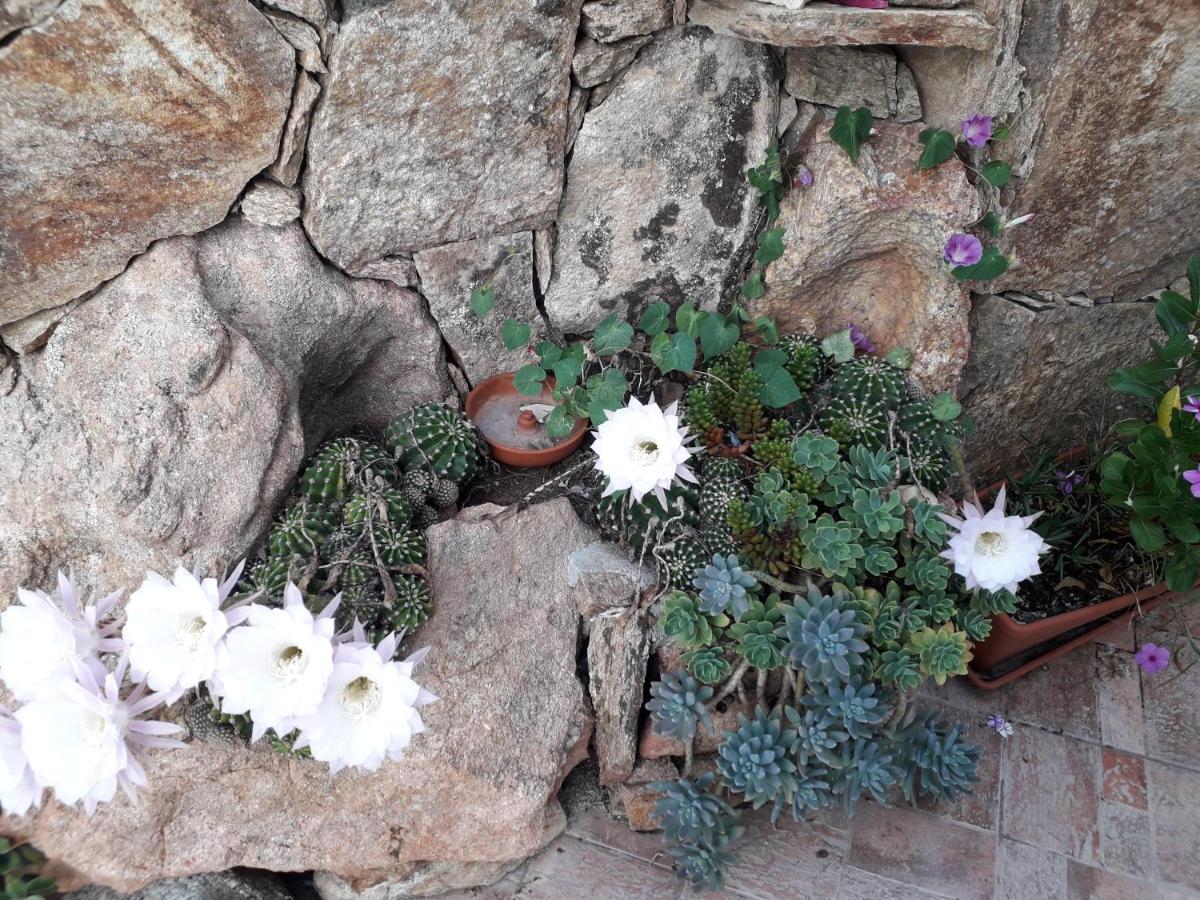 Photo 53