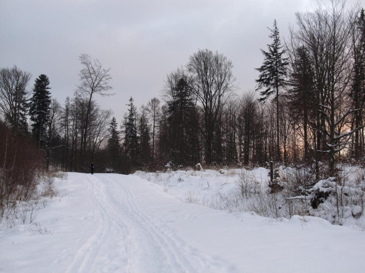 Photo 29