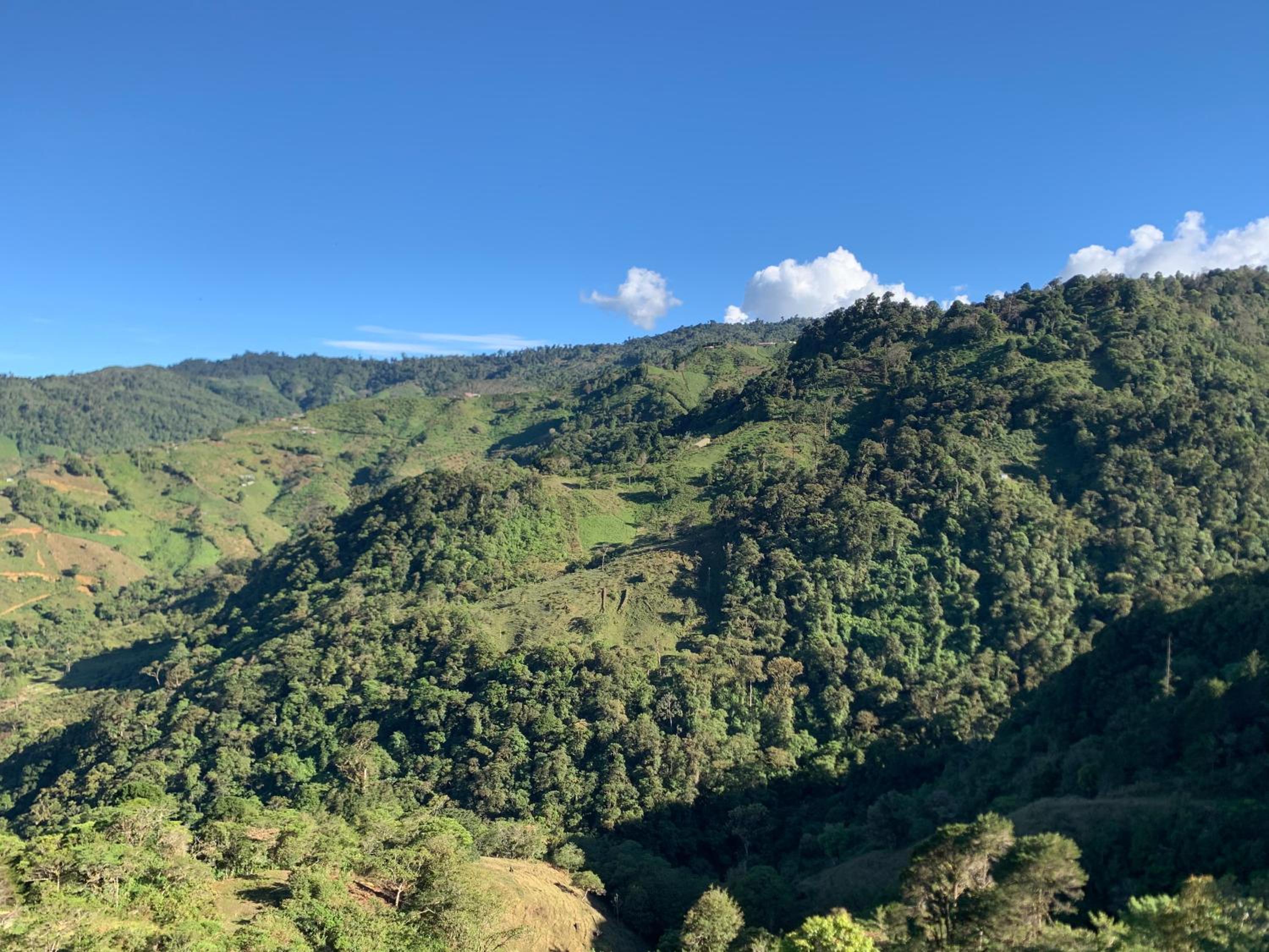 Cabaña Quetzal