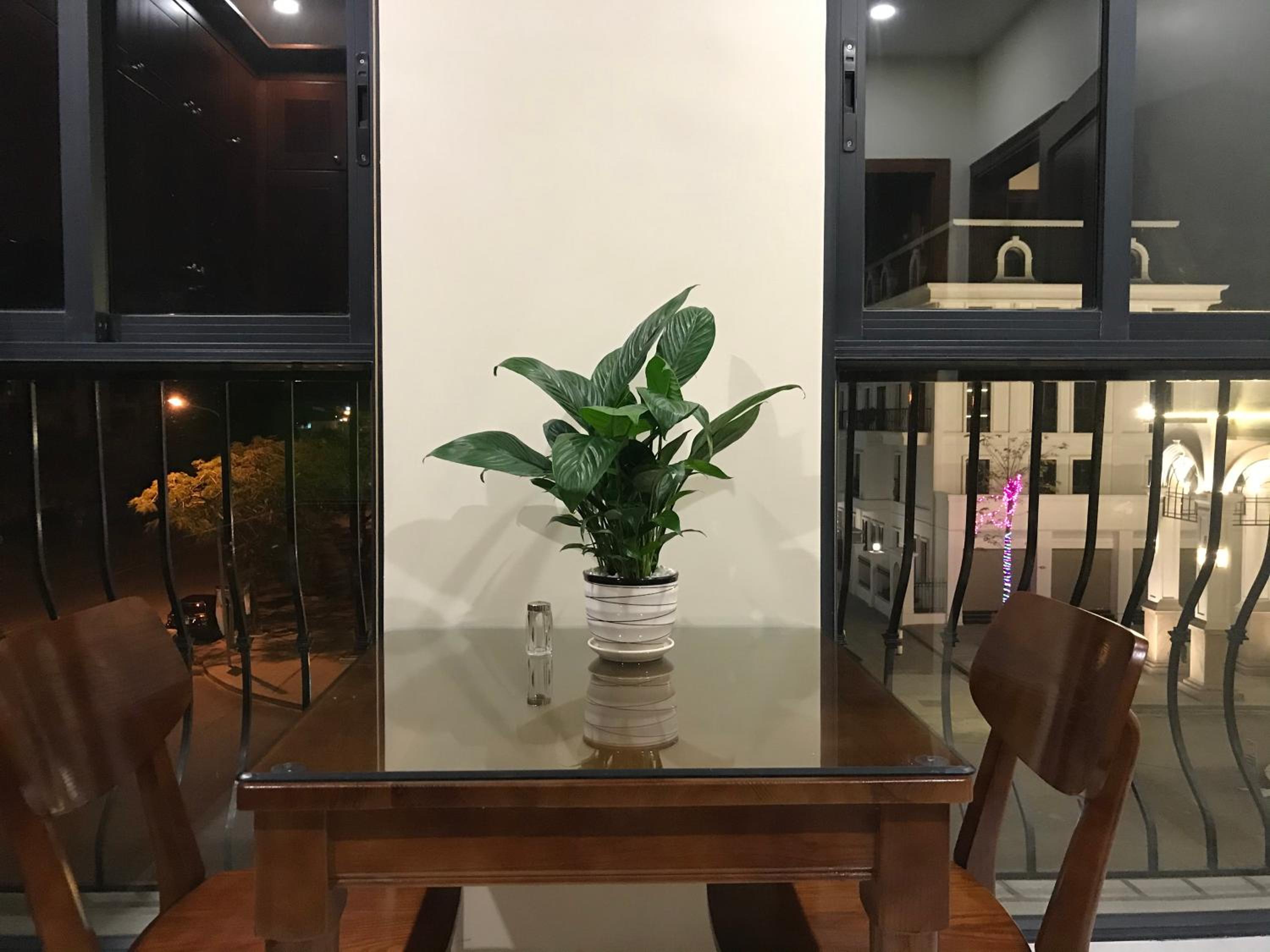 SAOLA Apartment Le Chan Hai Phong view 4