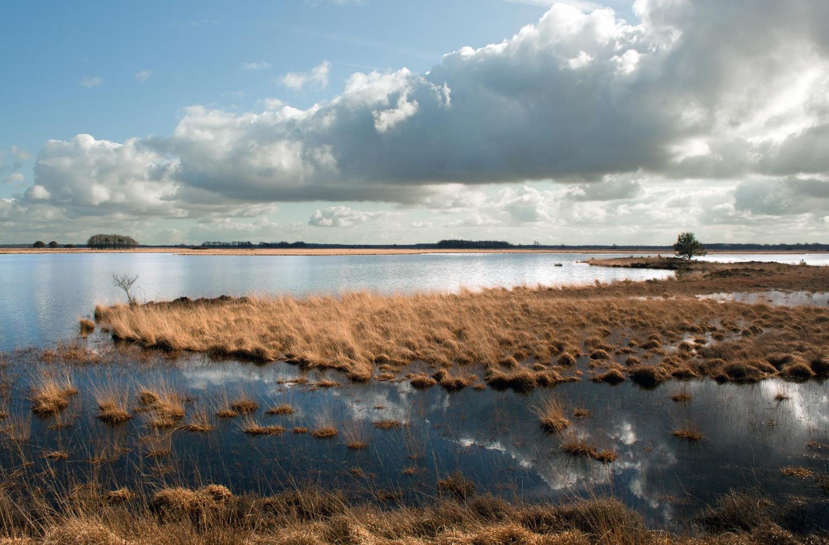 Vakantiepark Bosmeer Friesland
