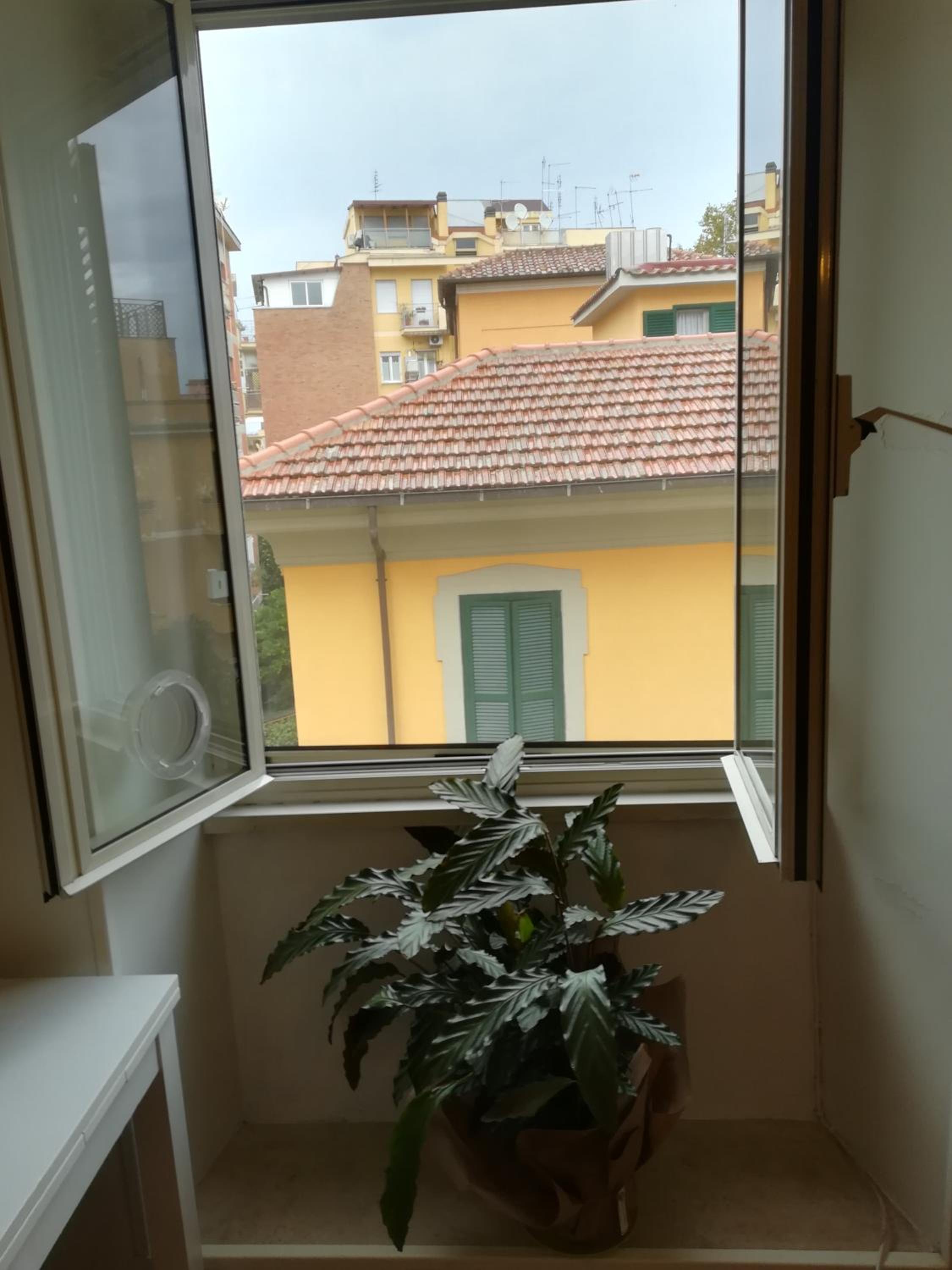 Vive Roma!