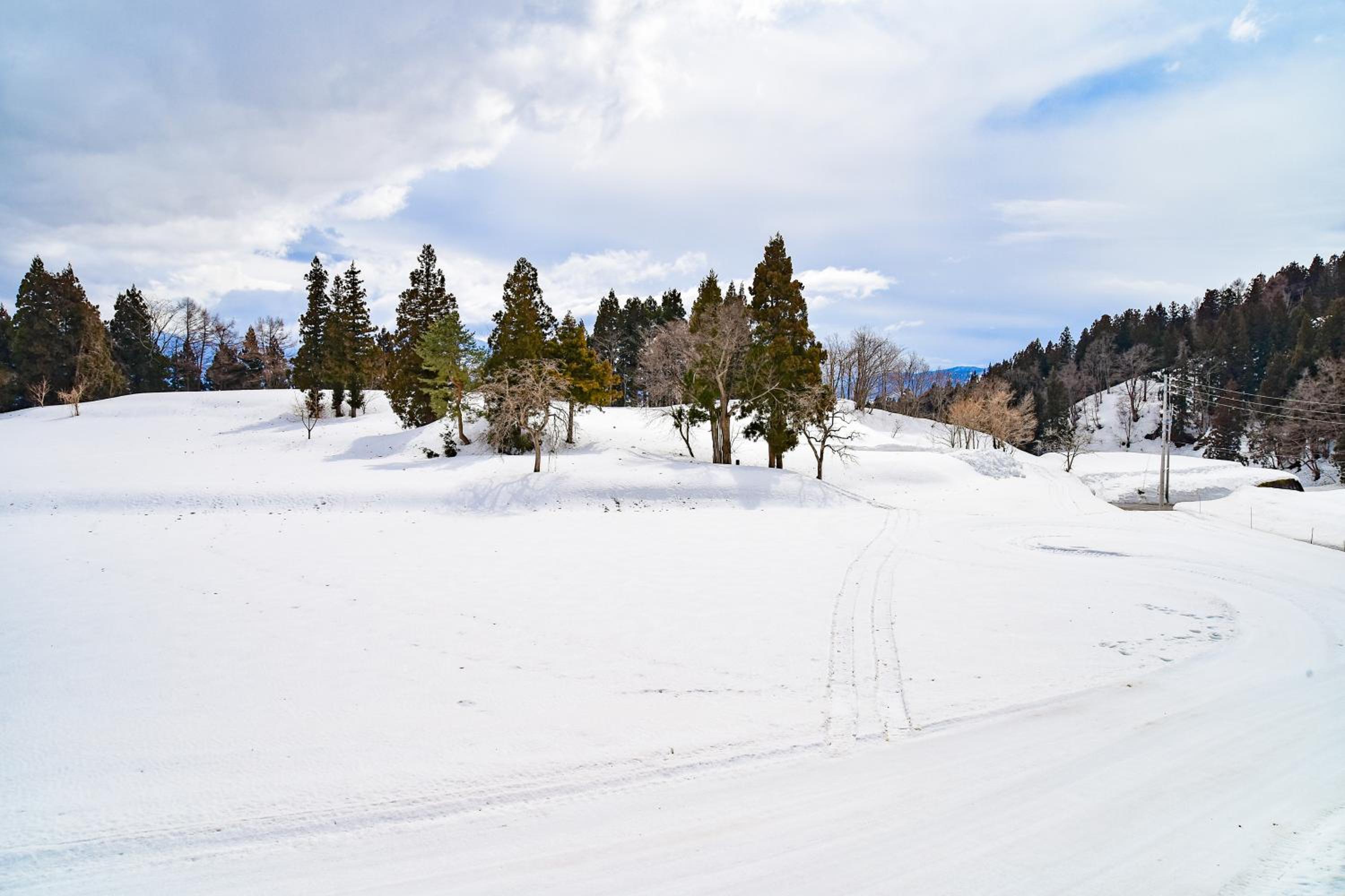 Photo 41