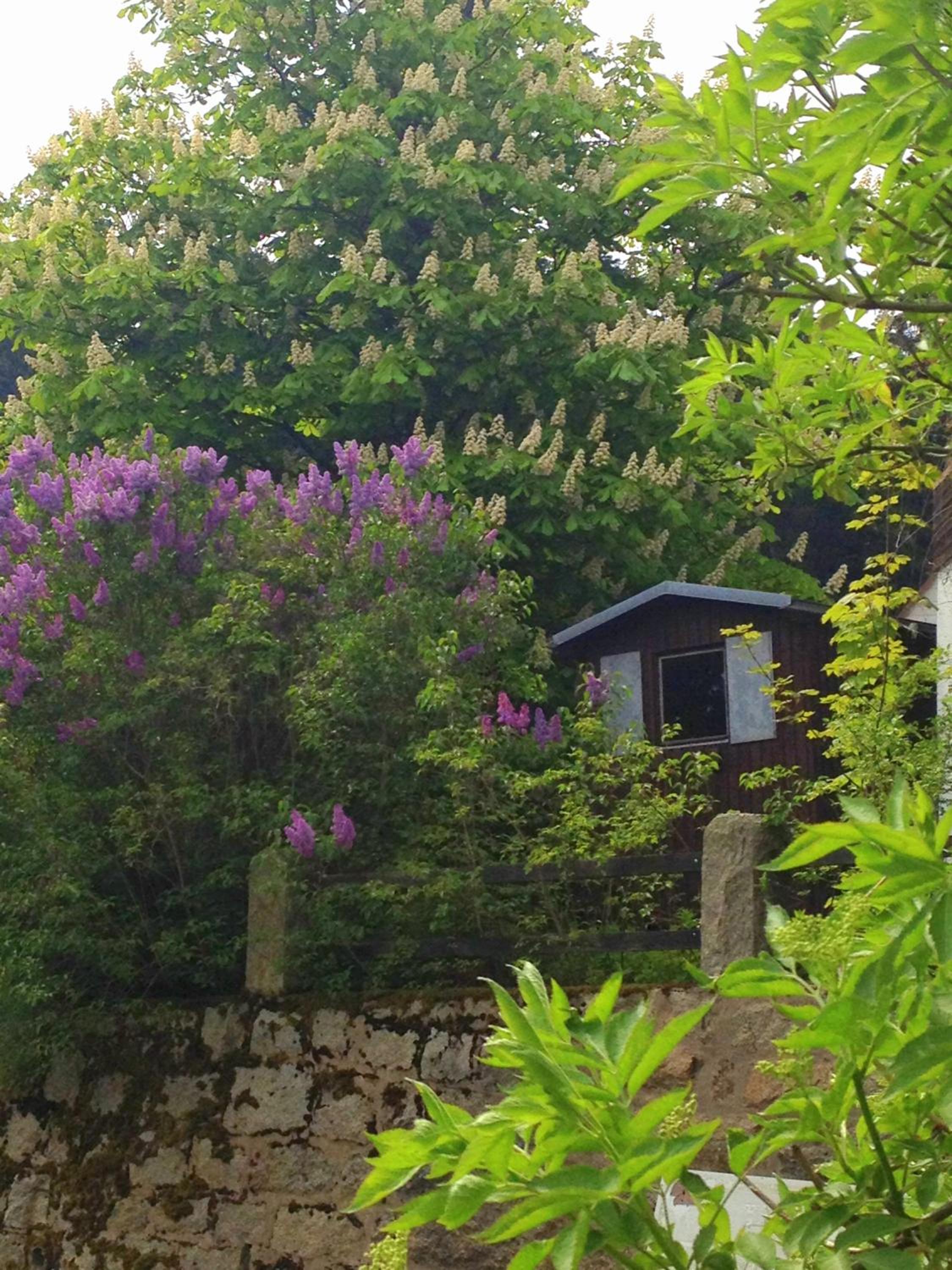 Antjes kleines Nest view 5