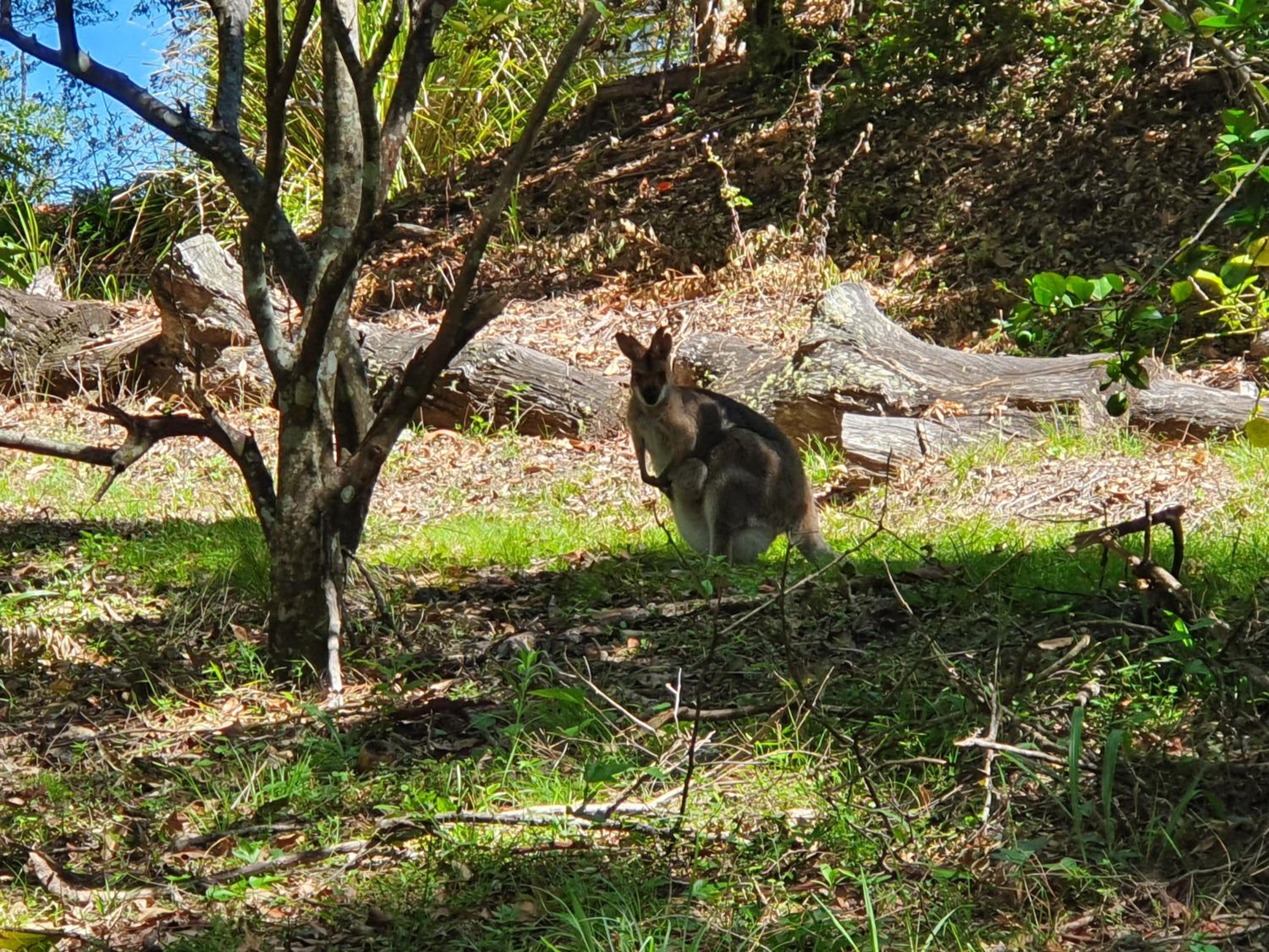 Photo 47