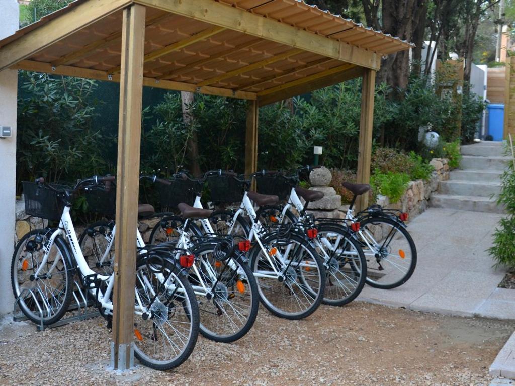 Villa Etoile Cannes photo 3