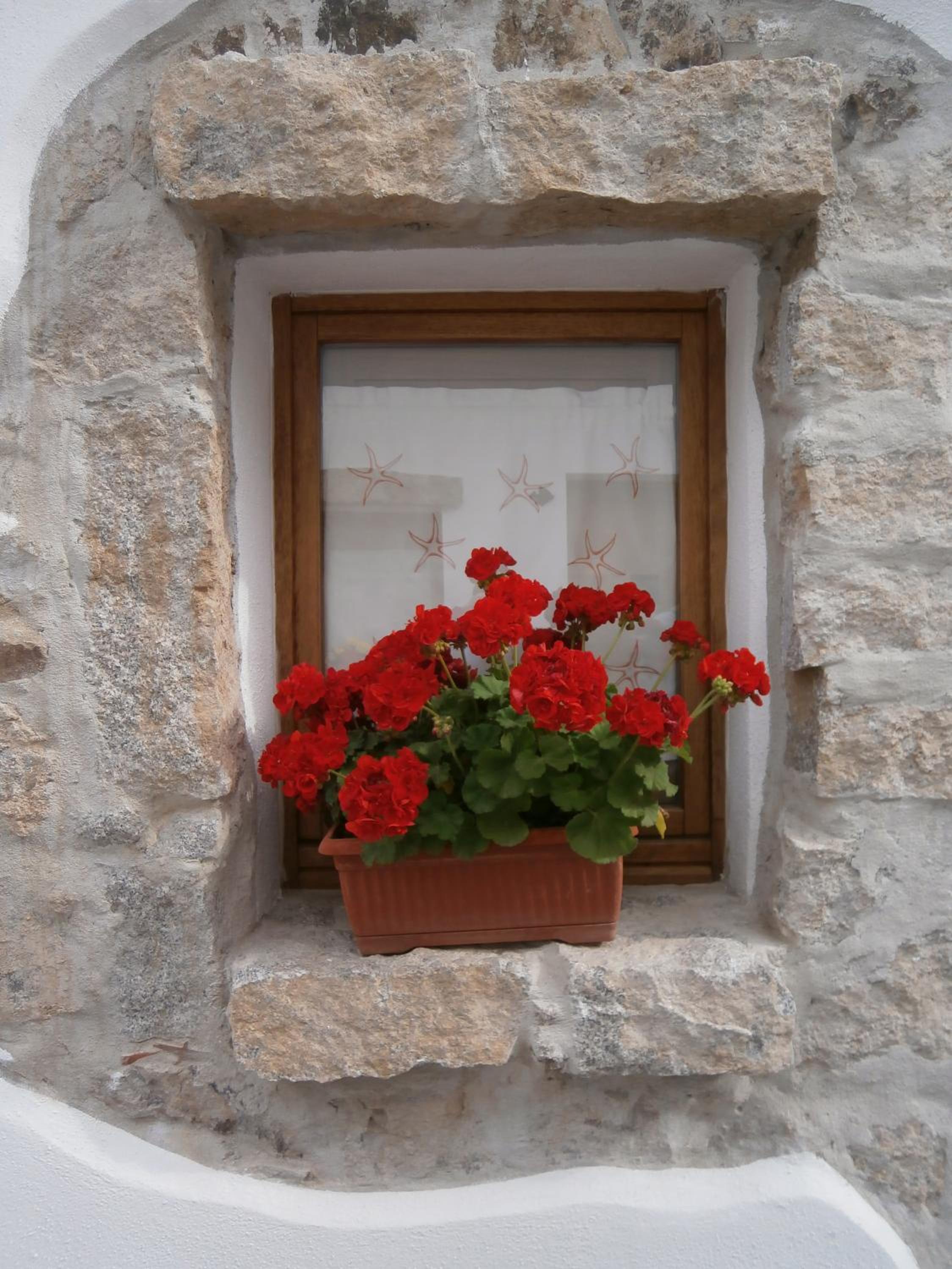 Olbia Domus Inn
