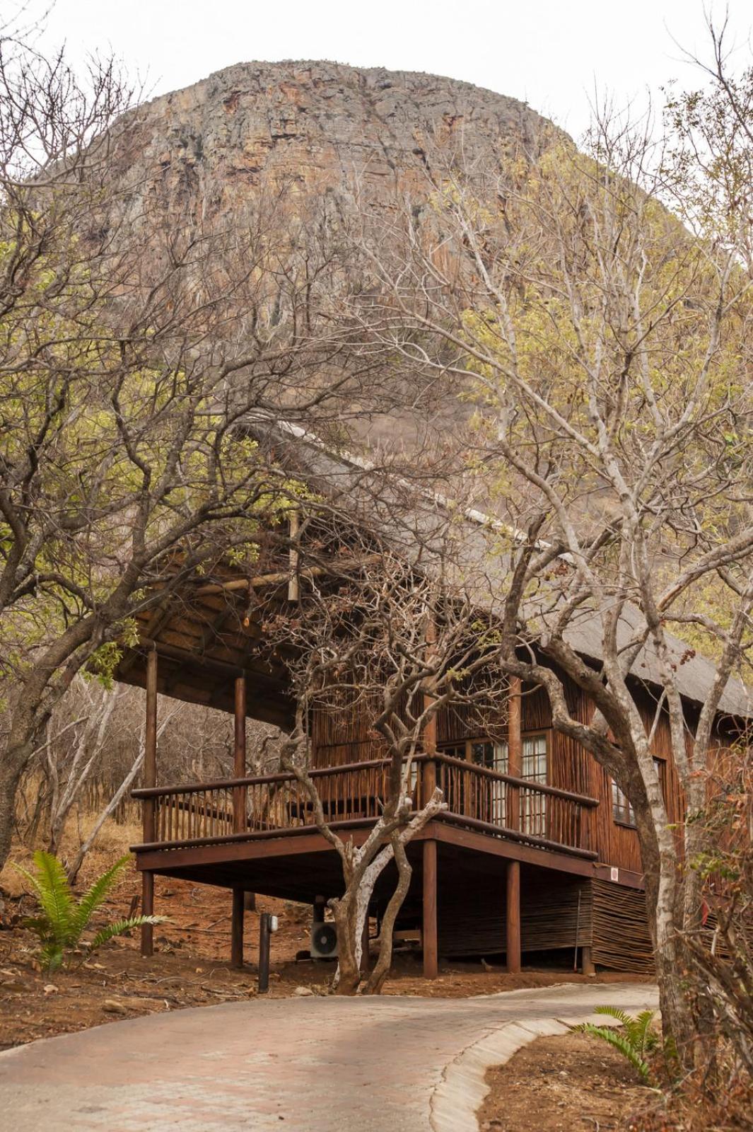 Amafu Forest Lodge