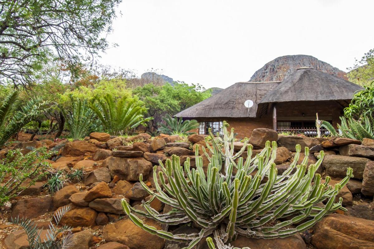 Amafu Forest Lodge