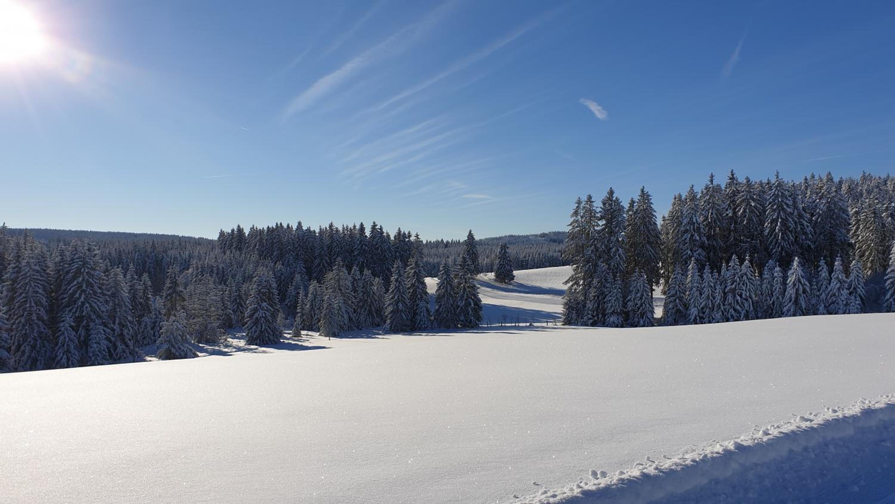 Schwarzwaldblick view 3