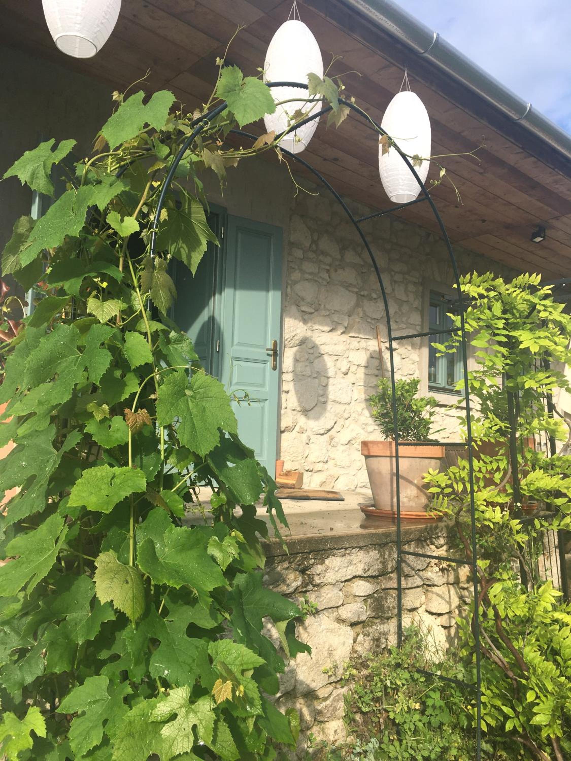 Photo 13
