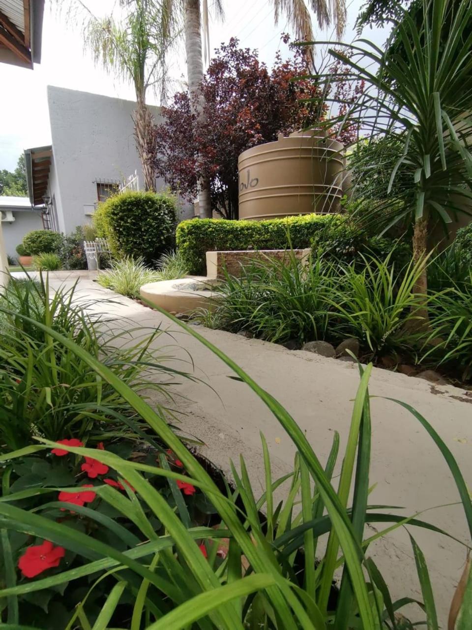 Photo 21