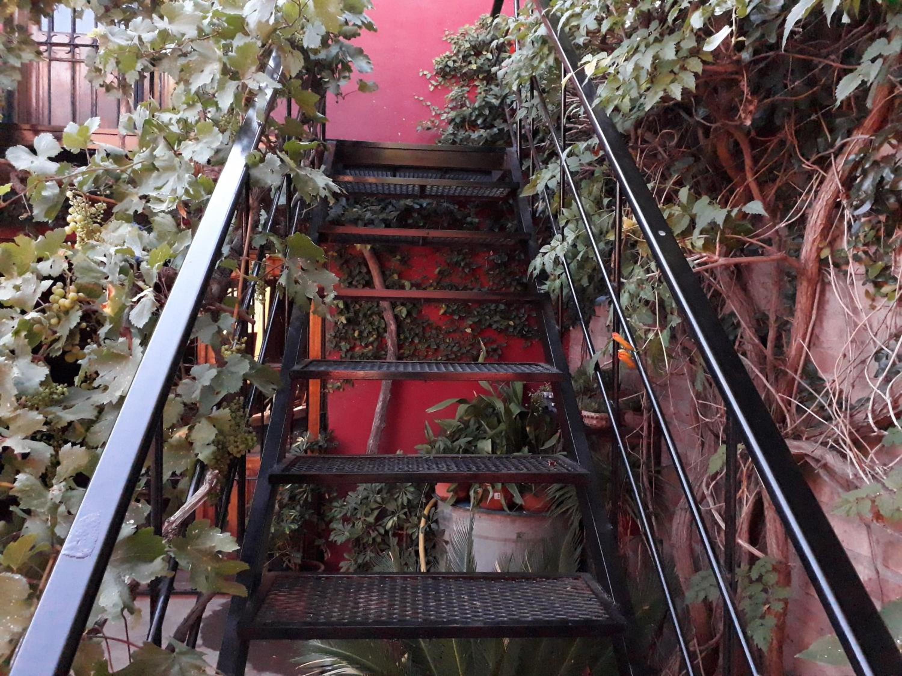 Departamento Los Sauces