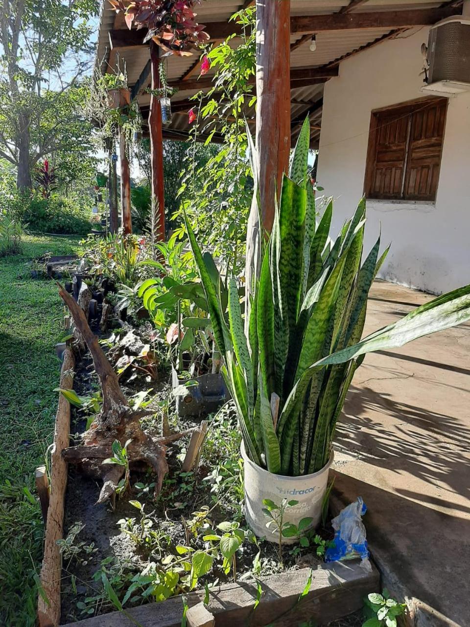 Photo 8