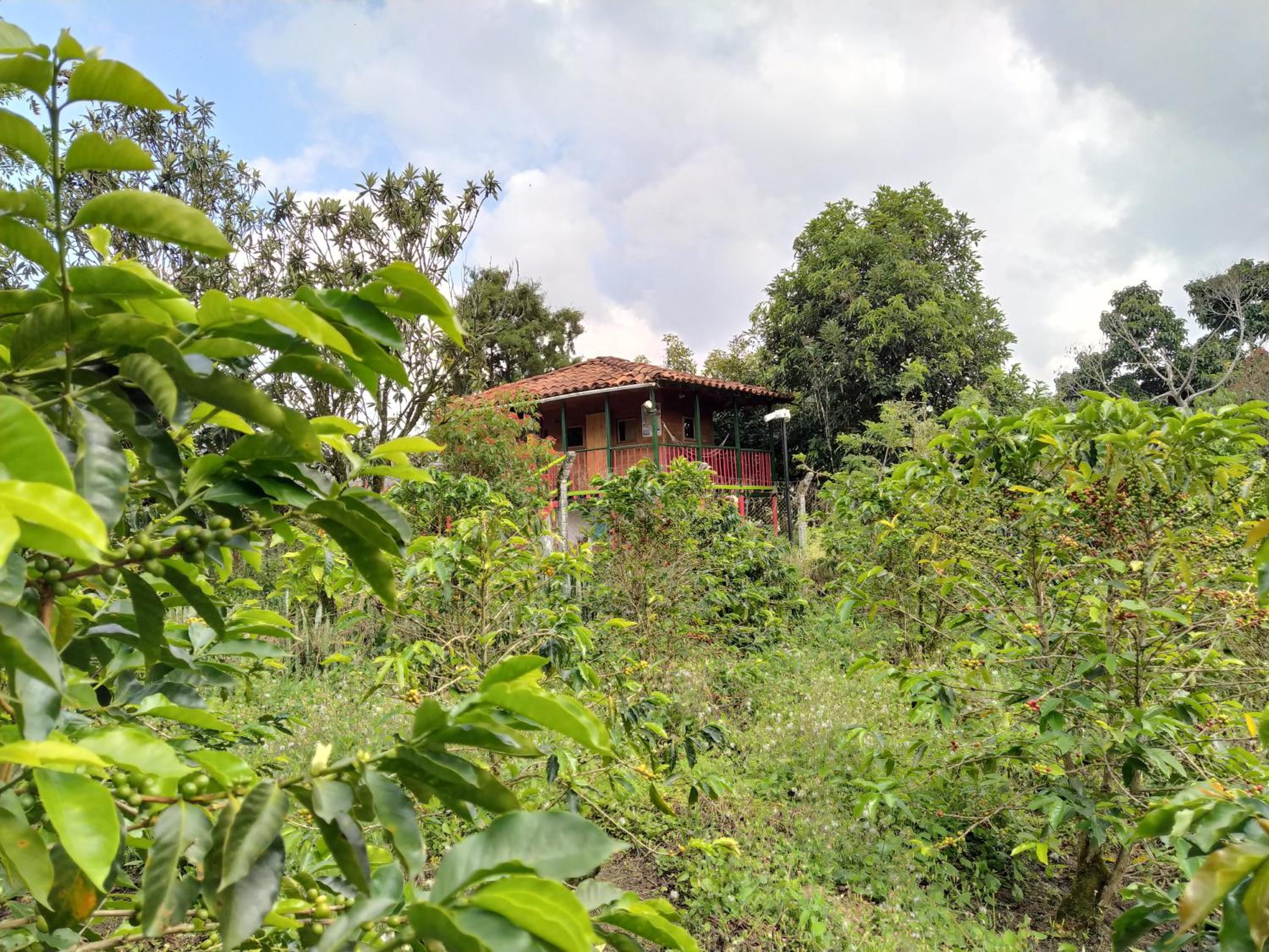 La Acuarela, Posada de La Monita