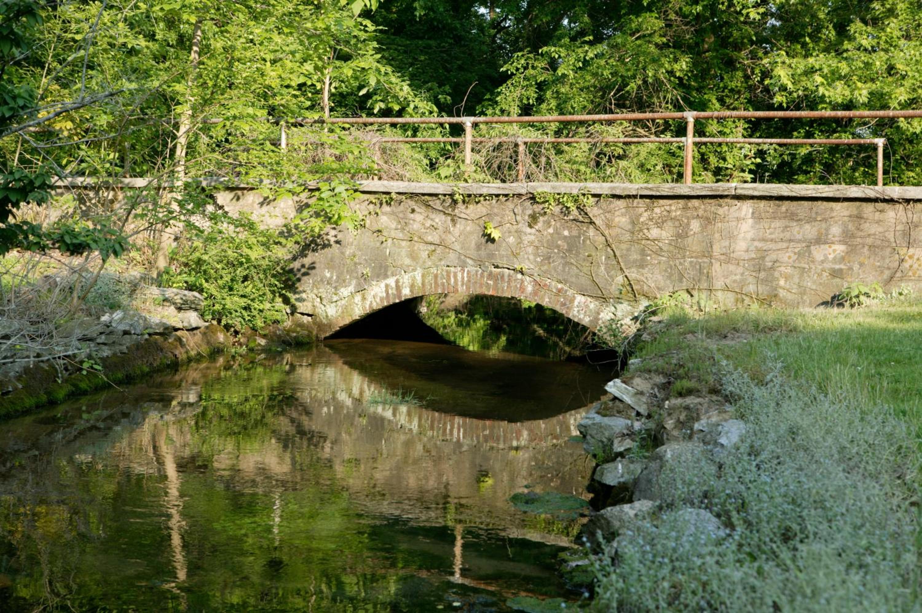 Photo 48