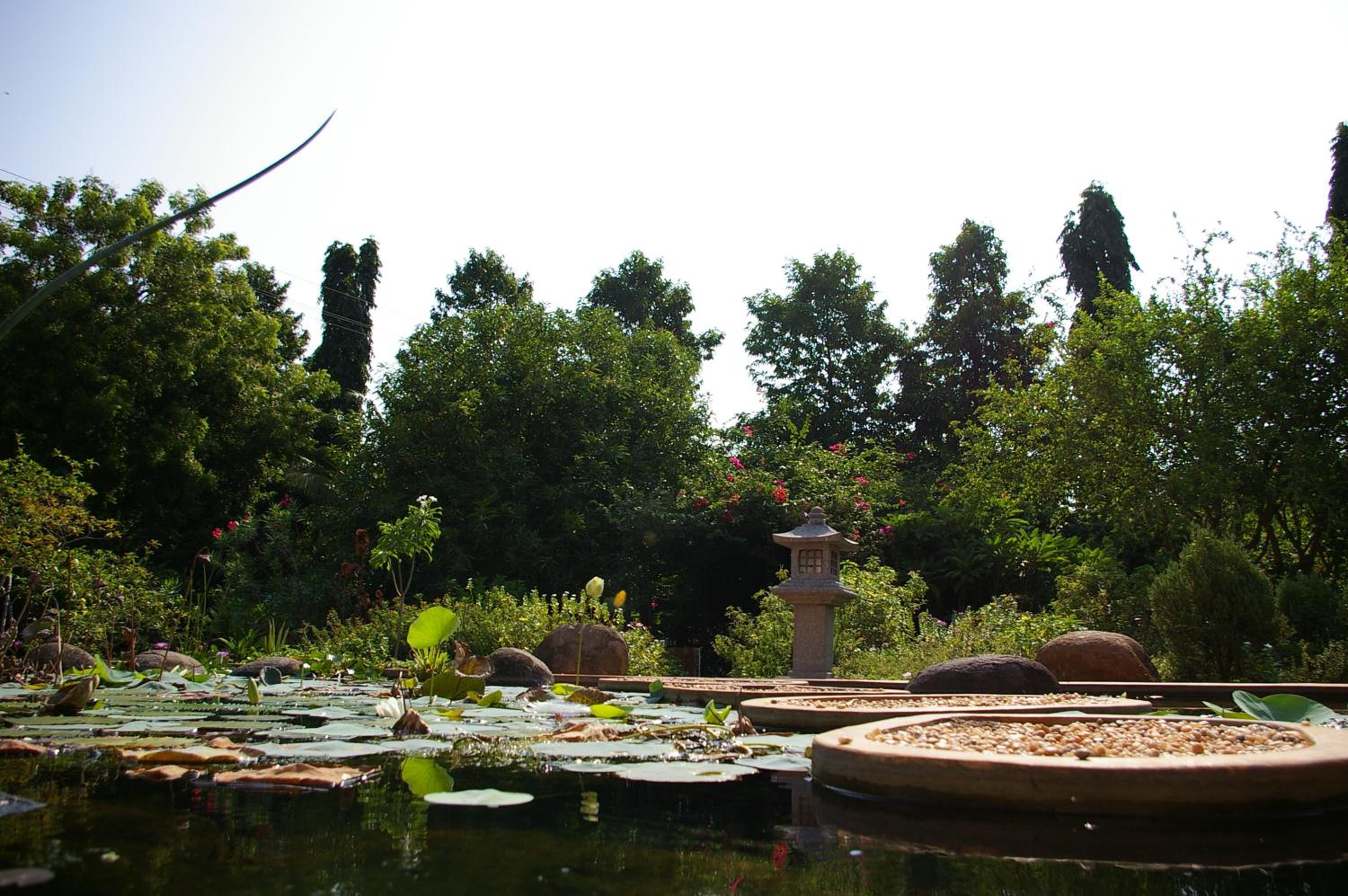 Photo 27