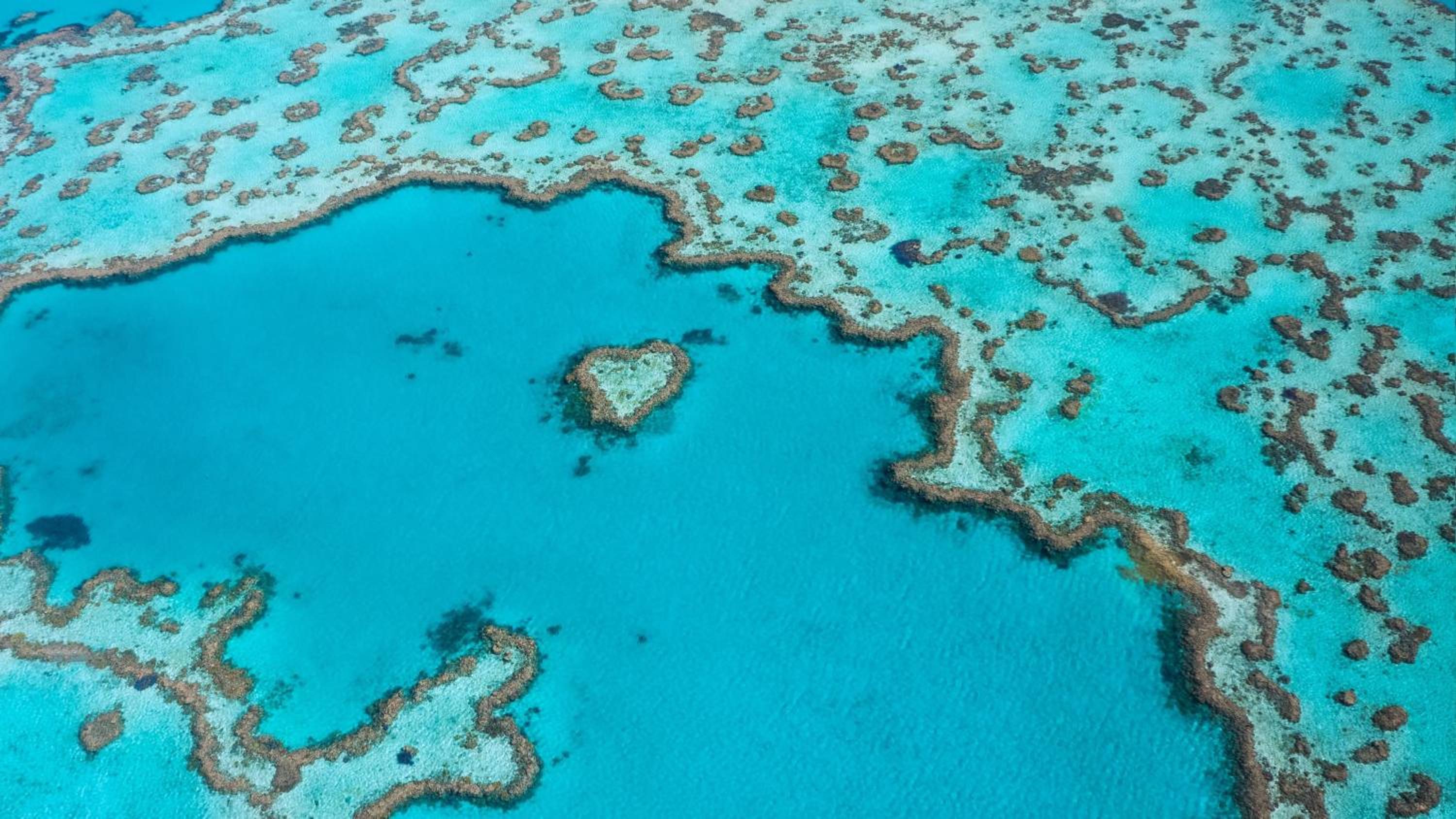 InterContinental Hayman Great Barrier Reef