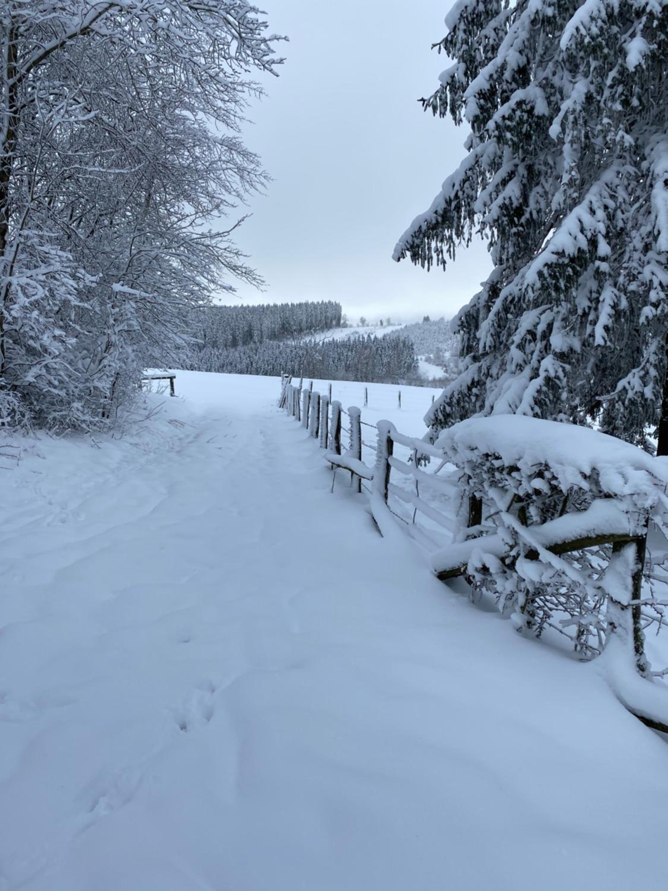 Chalet Le Grand Cerf view 3