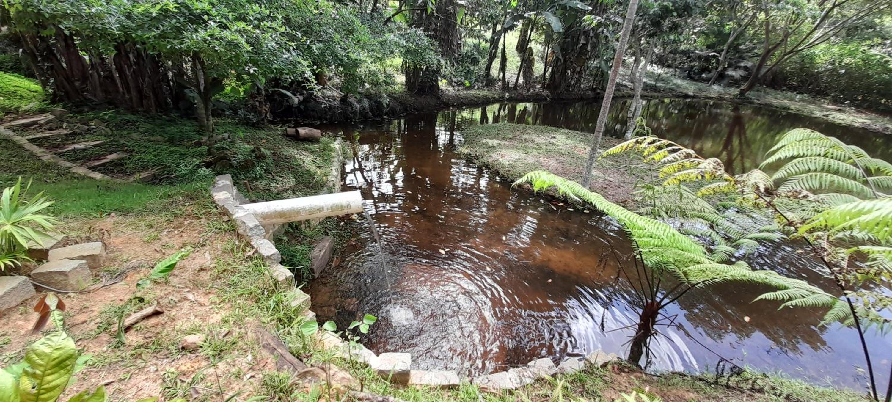 Sitio Camundongo
