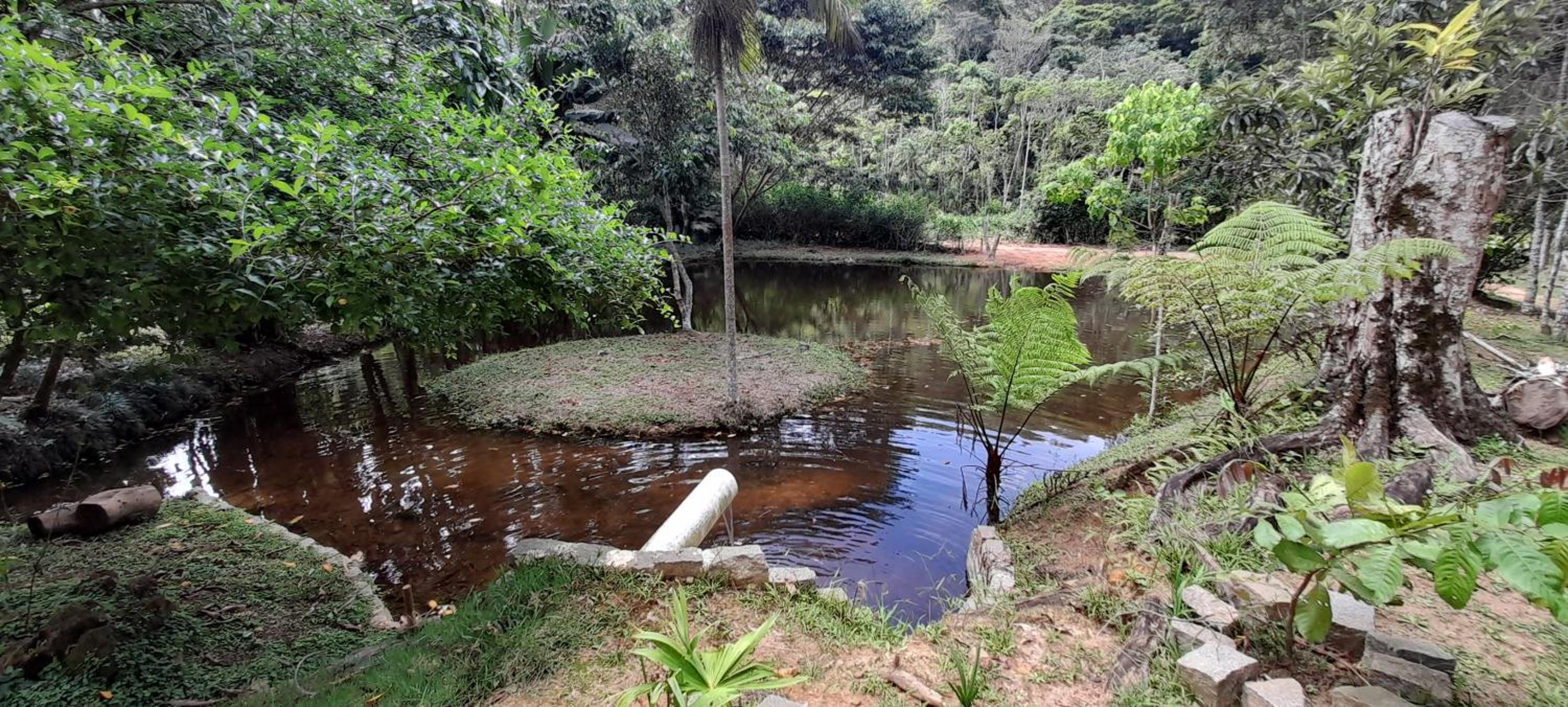 Sitio Camundongo